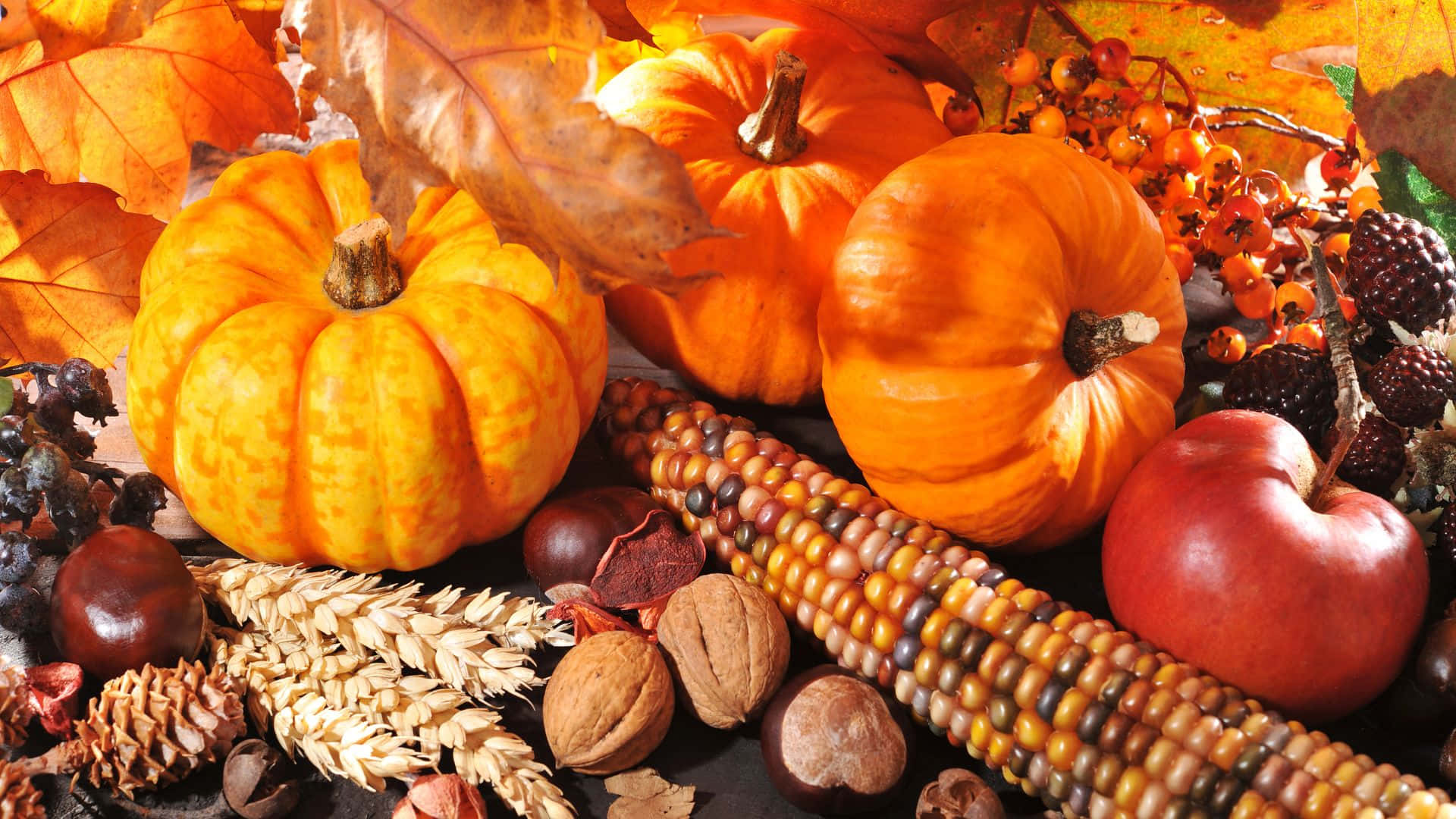 Nakakawindang background ng Thanksgiving Wallpaper
