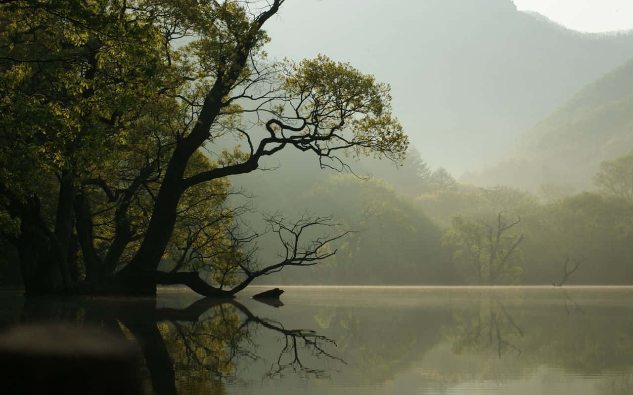Nakamamang Landscape ng Sierra Nevada Mountains Wallpaper