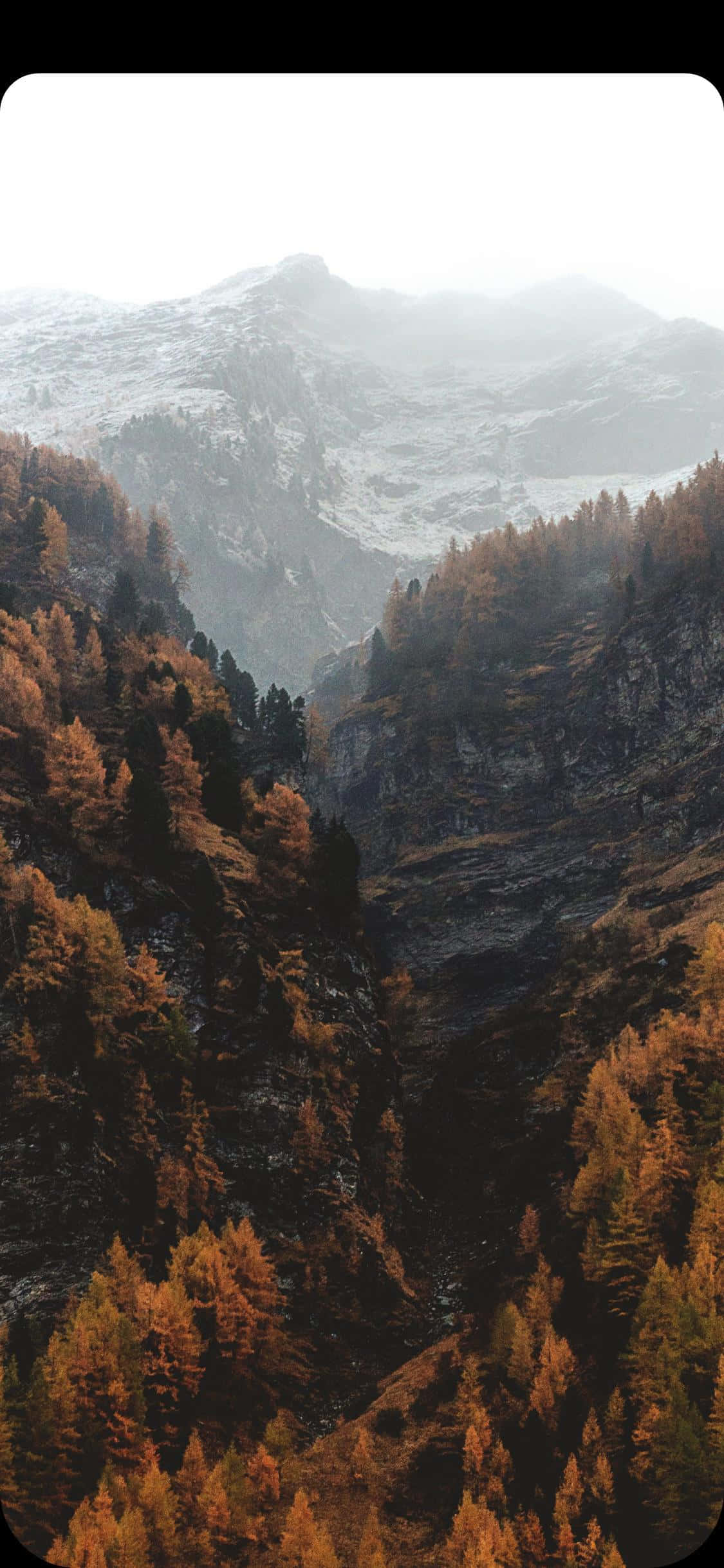 Nakamamang Talon sa Isang Luntiang Kagubatan Wallpaper