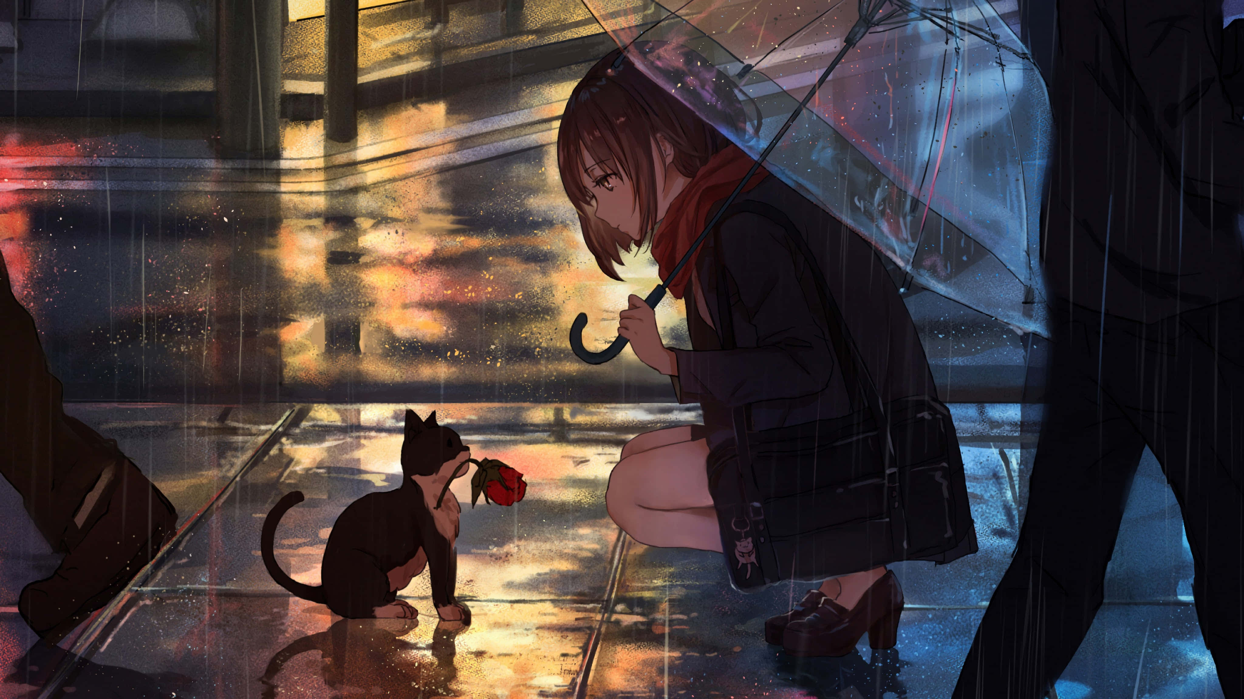 Nakatutulog na Anime na Pusa Wallpaper
