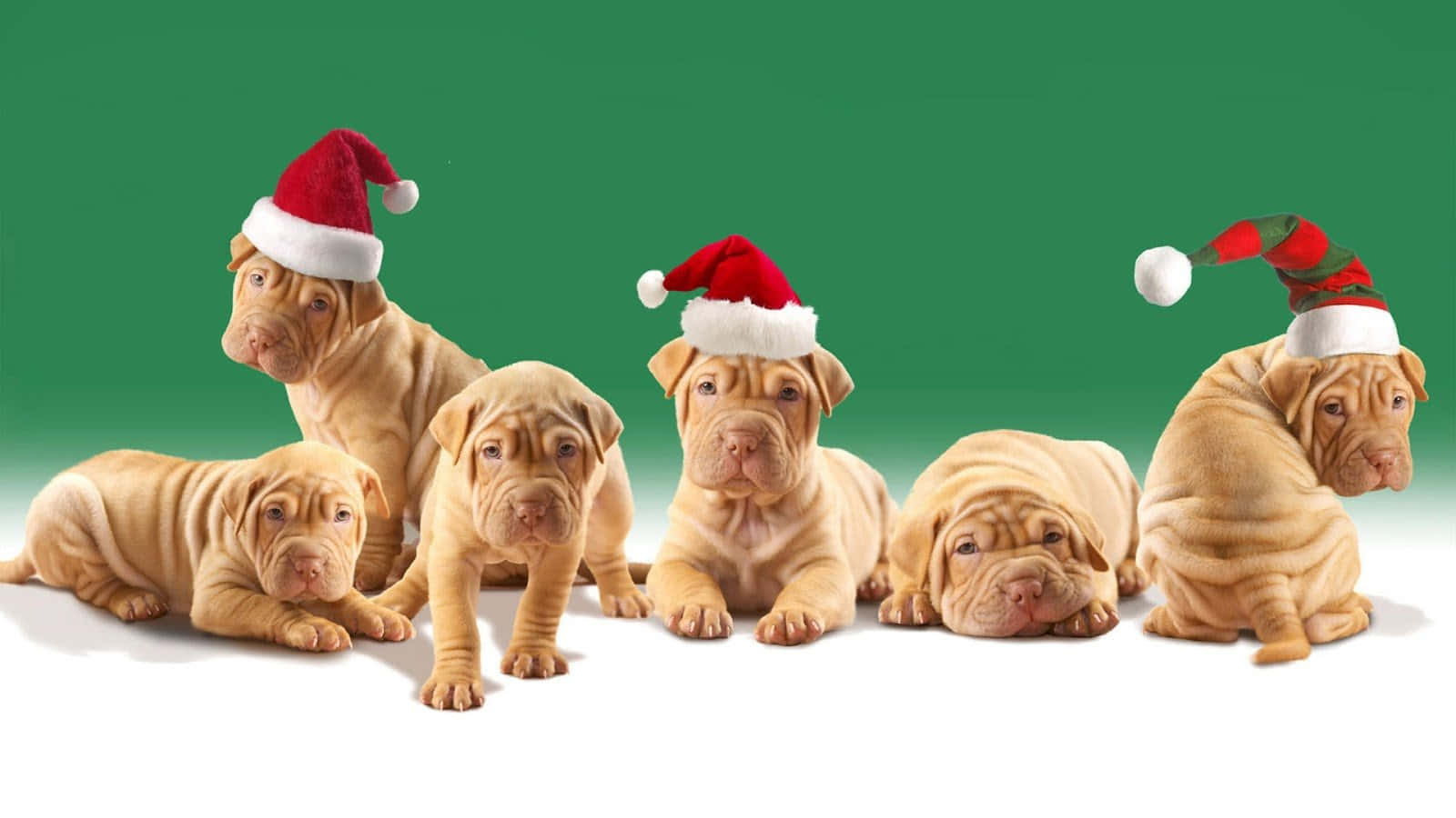 Nakawawa si Santa Claus sa Tsimneya Wallpaper