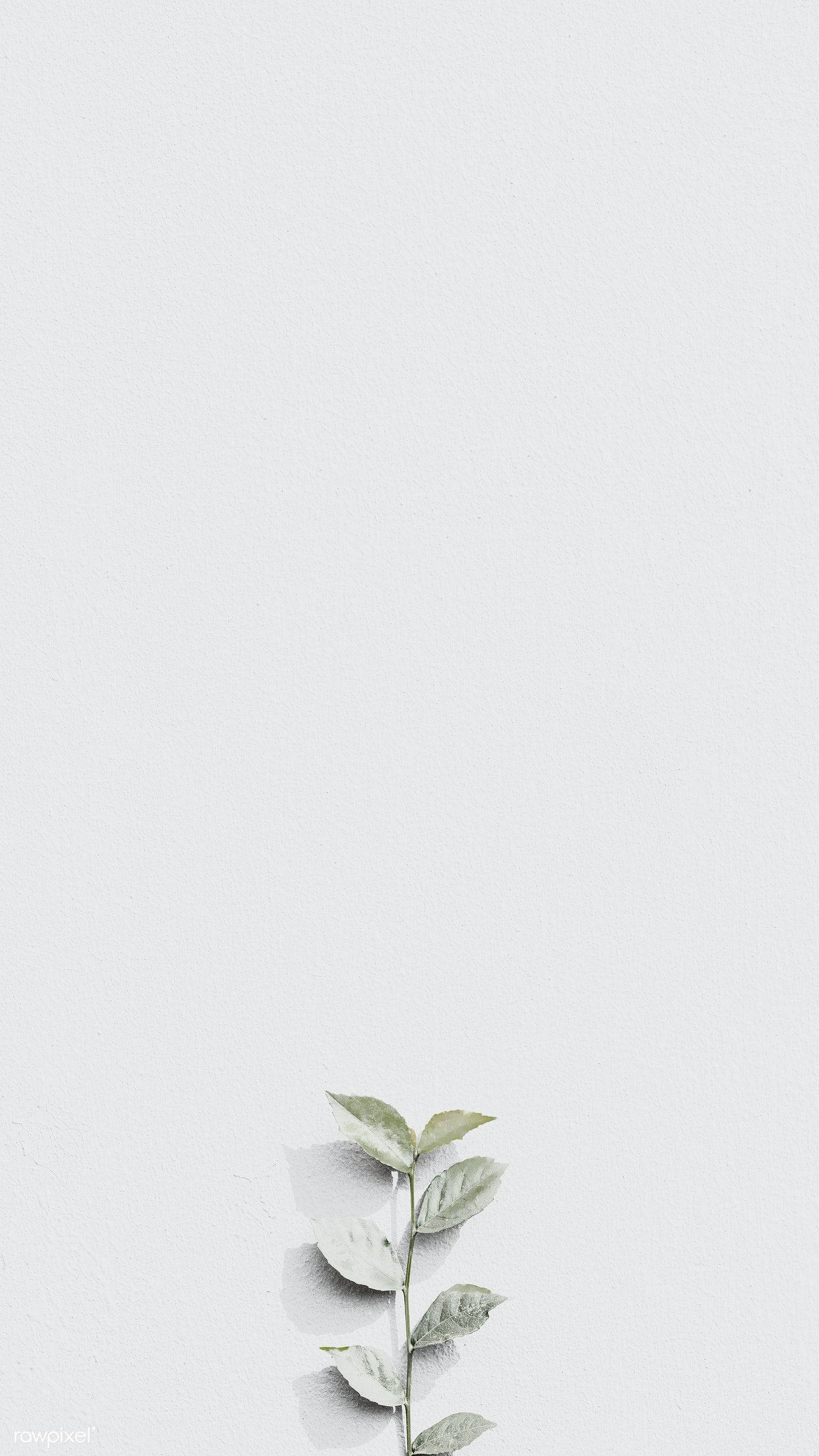 Namumulaklak na Aesthetic sa Mapusyaw na Kulay Abo Wallpaper
