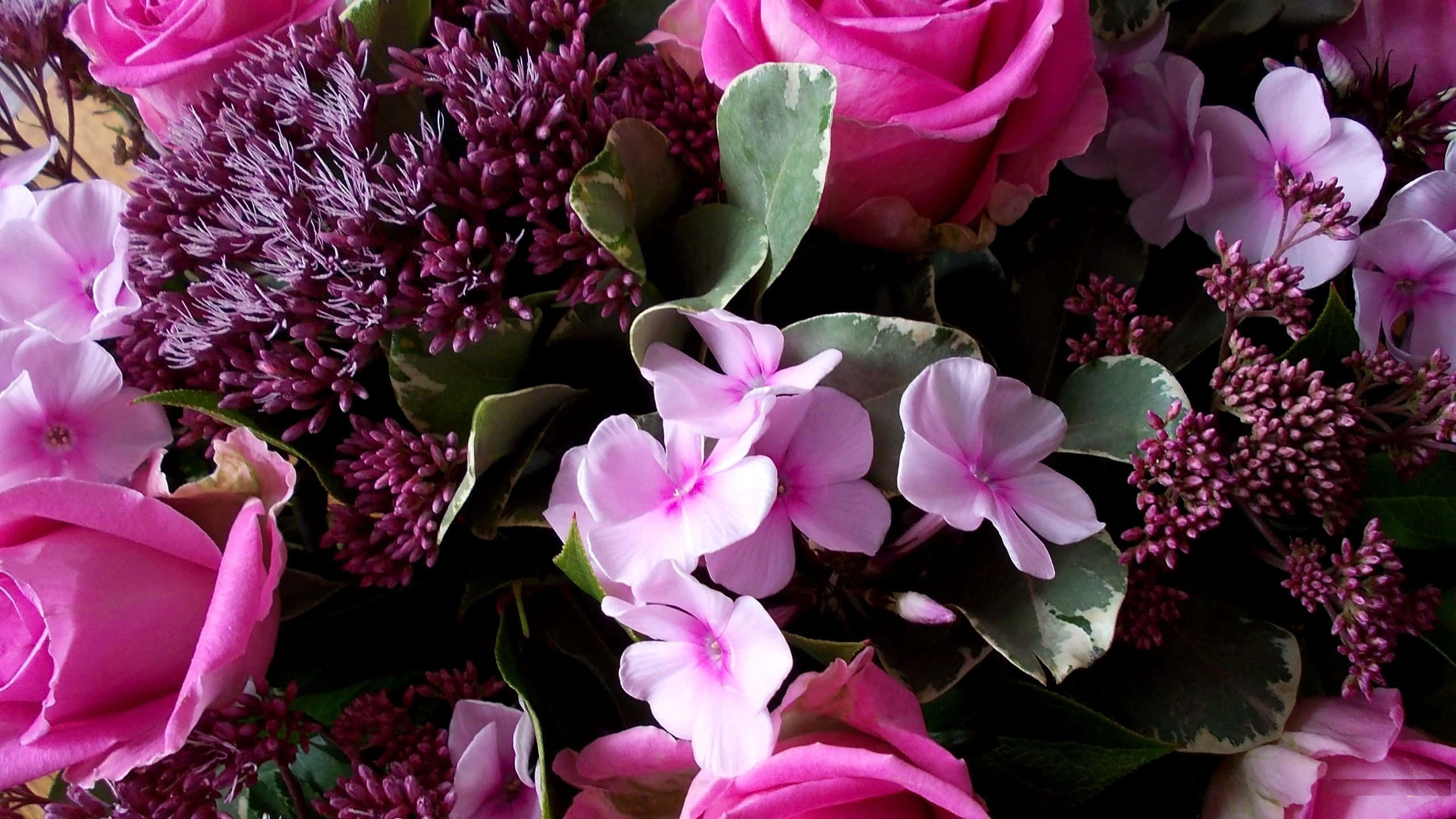 Namumulaklak na Pink na Floral na Background Wallpaper