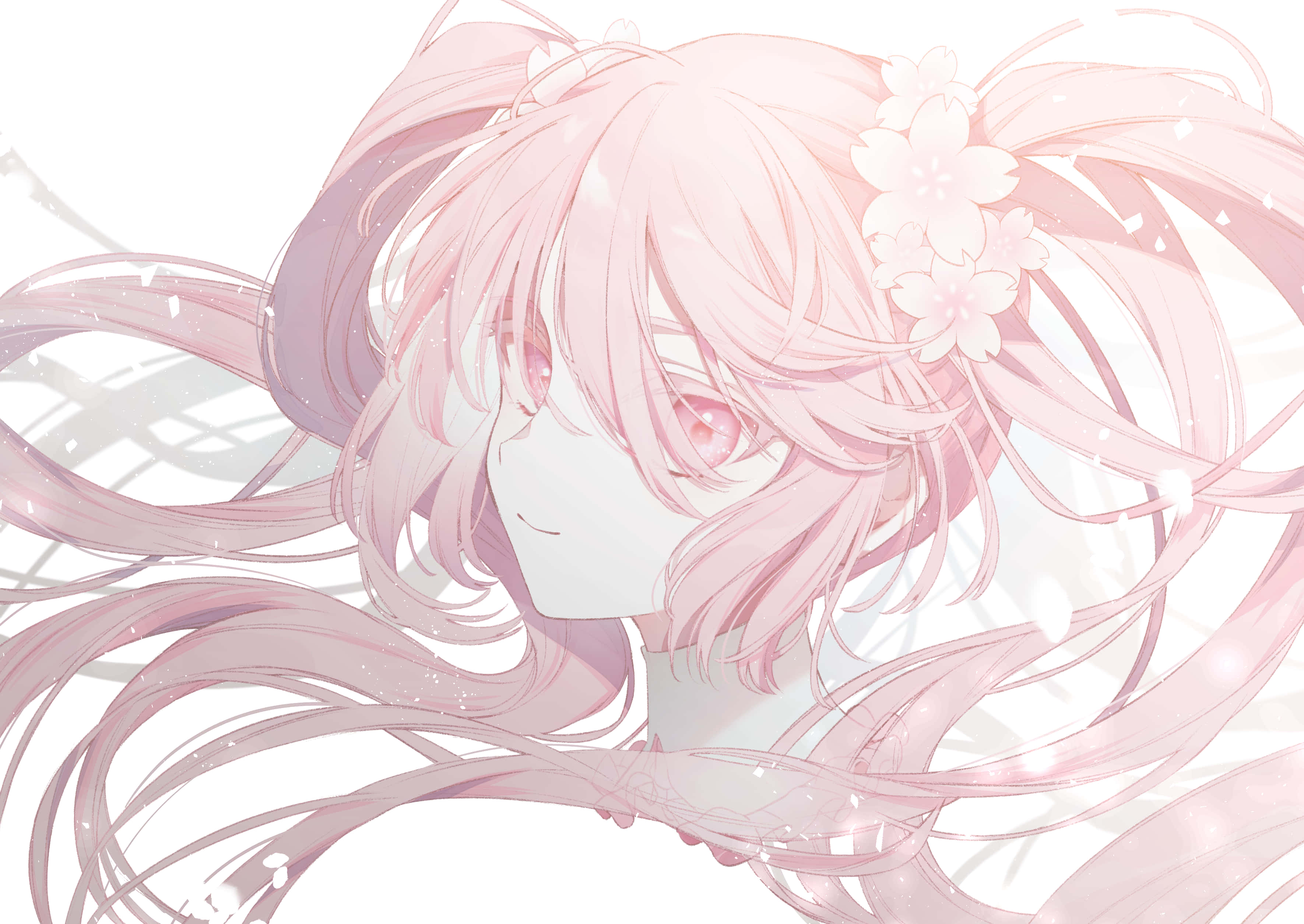 Nasisiyahan sa magagandang talulot ng cherry blossom kasama si Sakura Miku Wallpaper