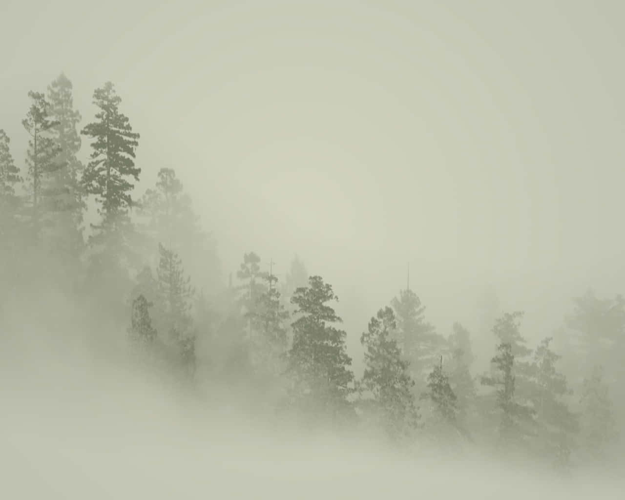 Neutral na Background Wallpaper