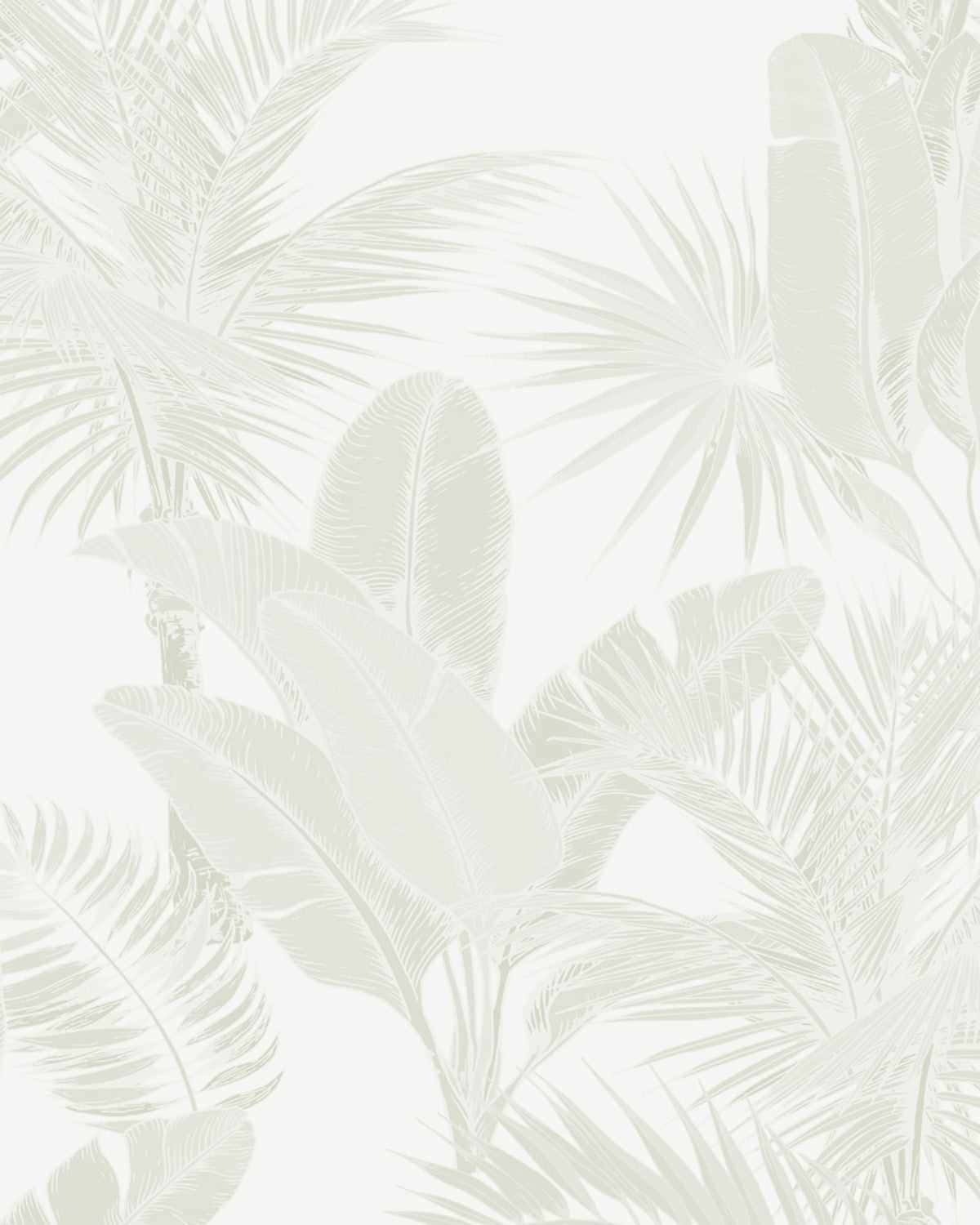 Neutral na Background Wallpaper