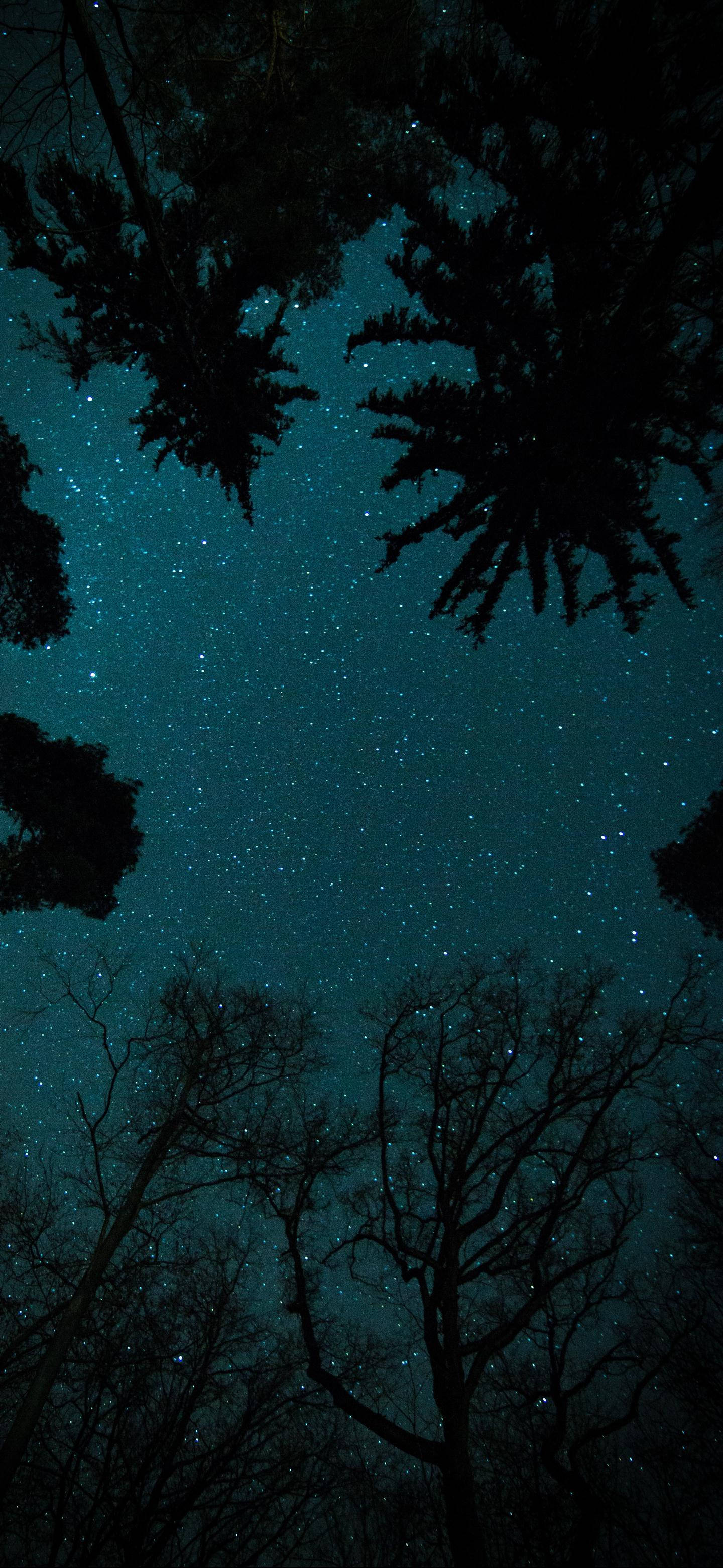 OnePlus Starry Night Sky Wallpaper