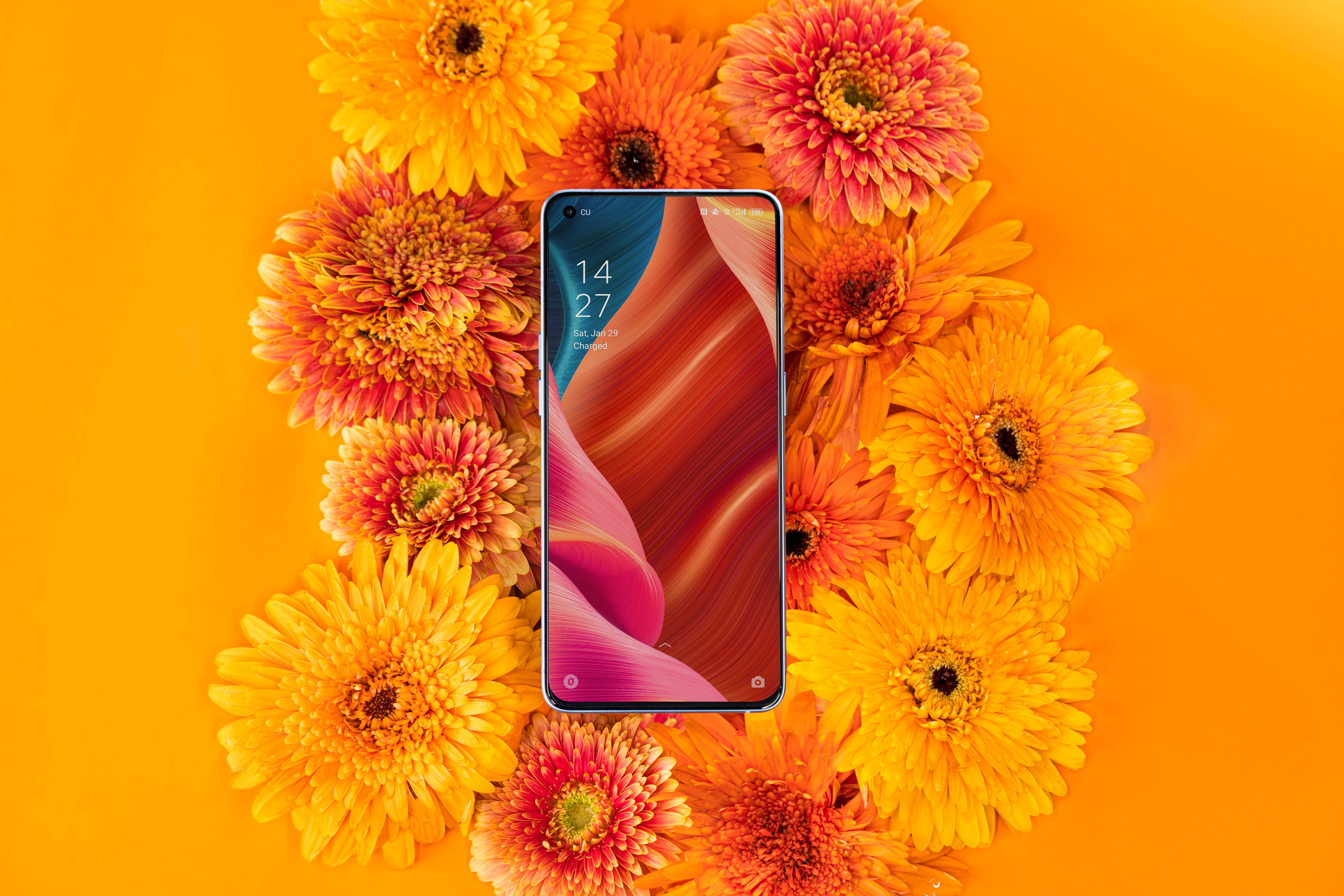 Oppo Smartphone at Malalago Wallpaper