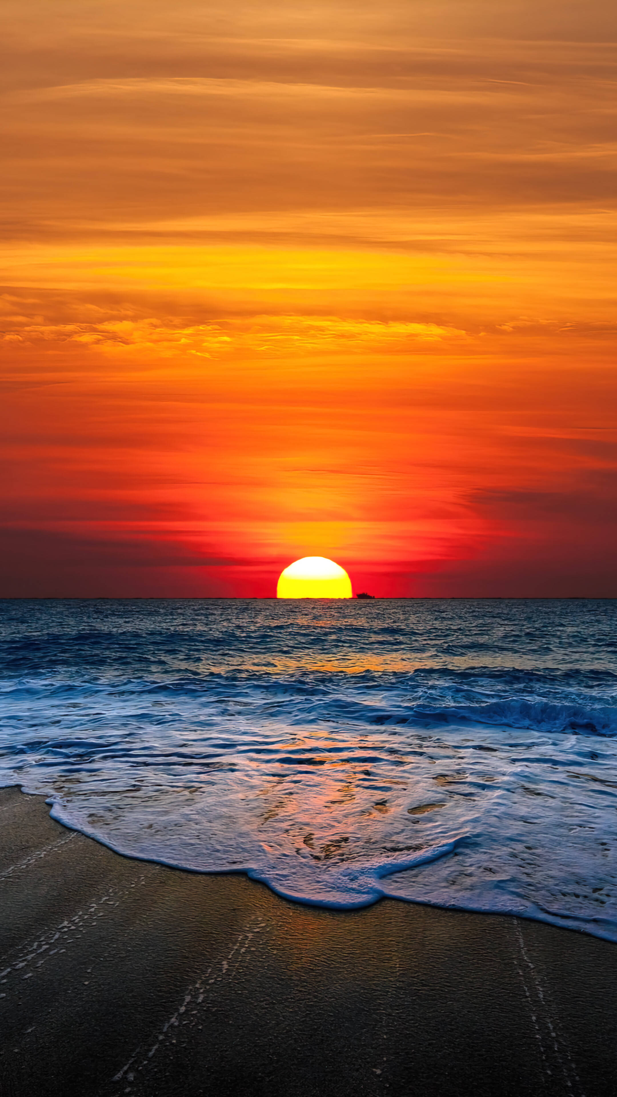 Orange Sunset sa Beach Android Wallpaper
