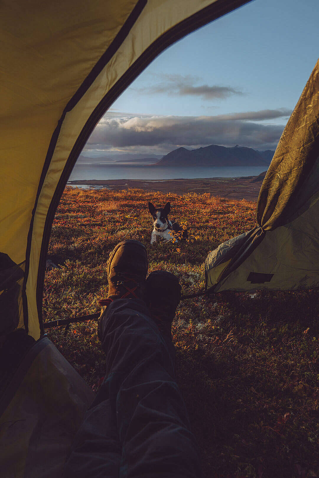 Outdoor Camping na Chill Gamit ang iPhone Wallpaper