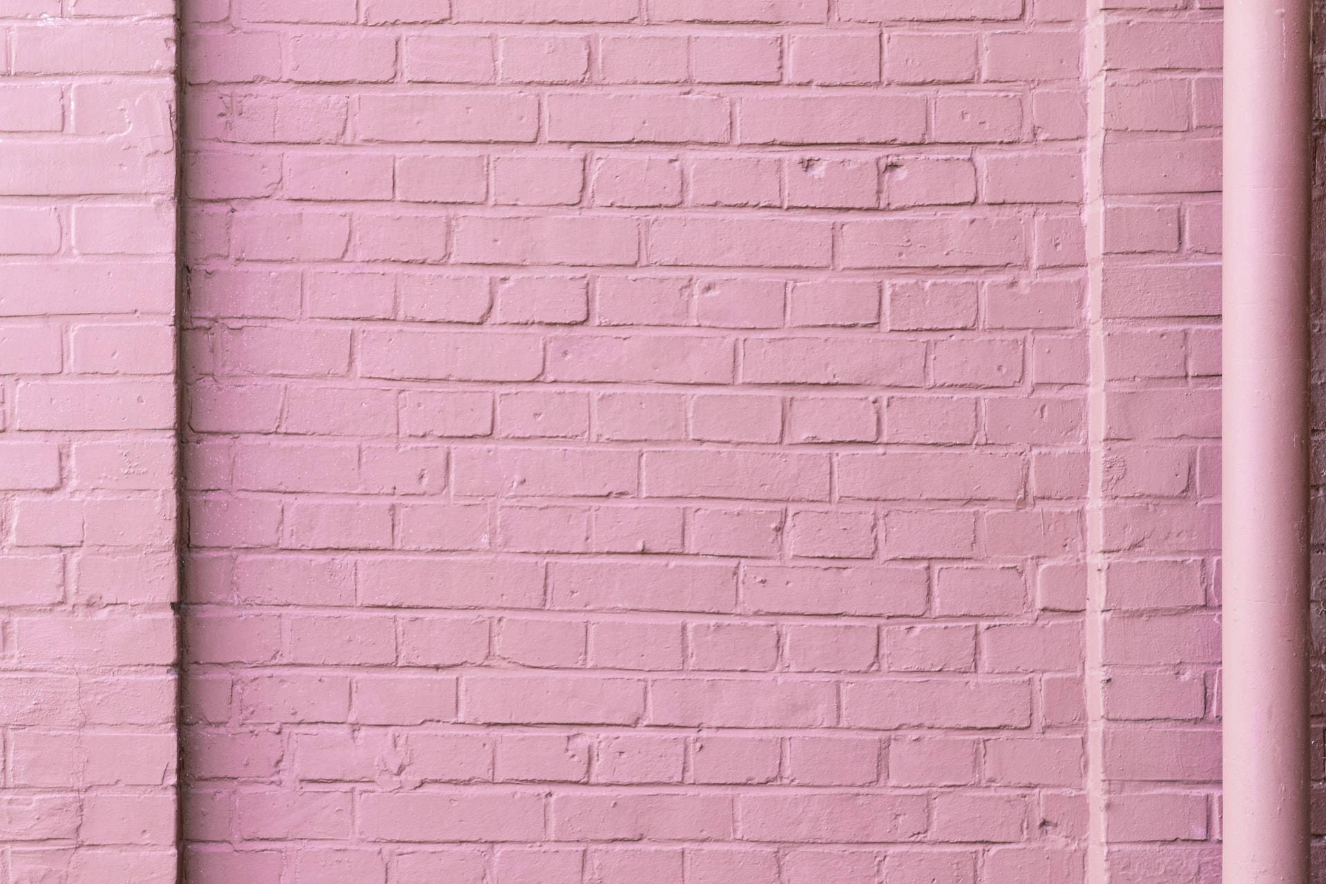 Paderang Kulay Rosas na Brick Wall Wallpaper