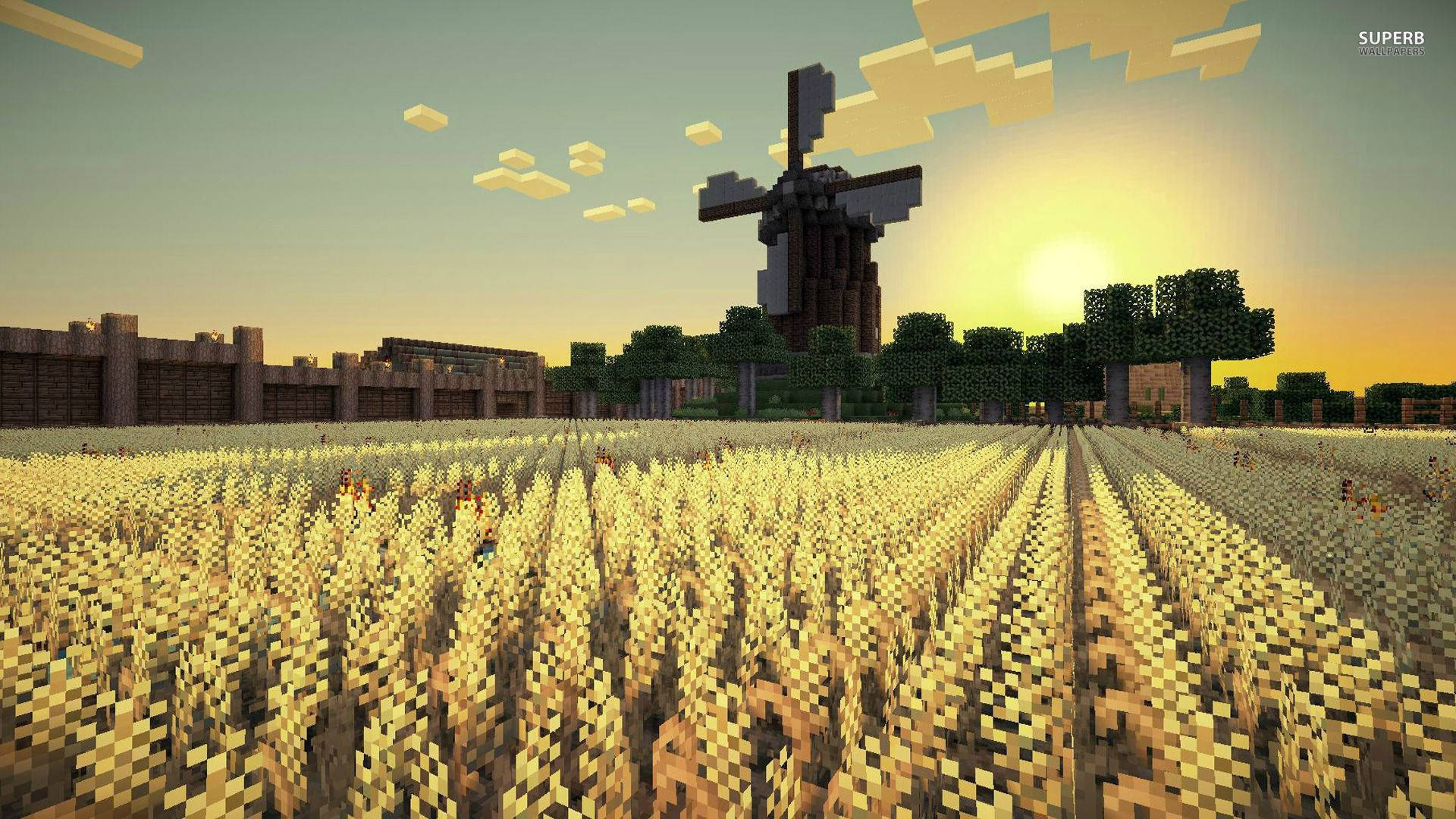 Pag-enjoy sa Tahimik na Umaga sa Isang Palayan sa Minecraft Wallpaper