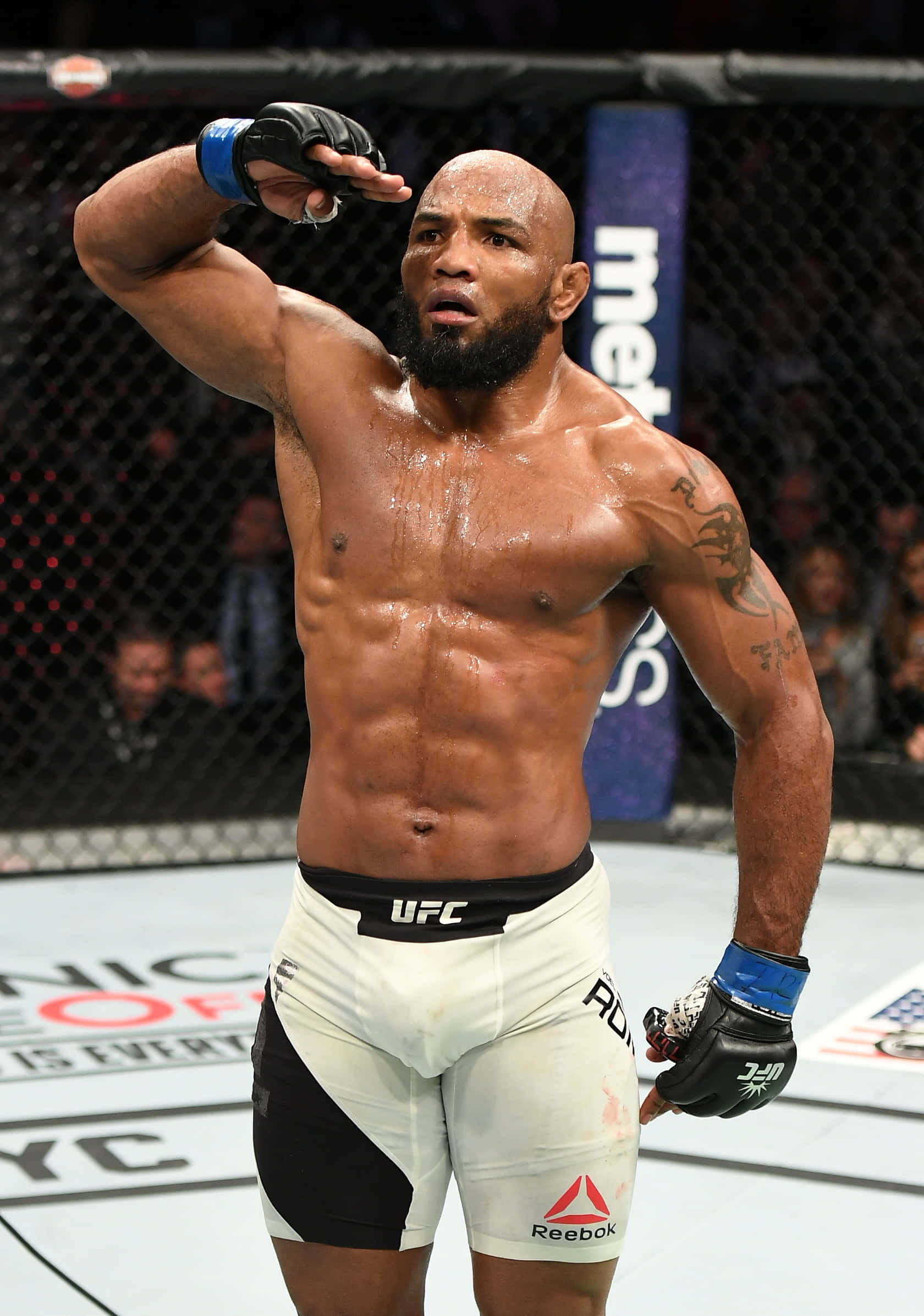 Pagbati ni Yoel Romero sa UFC 205 Wallpaper