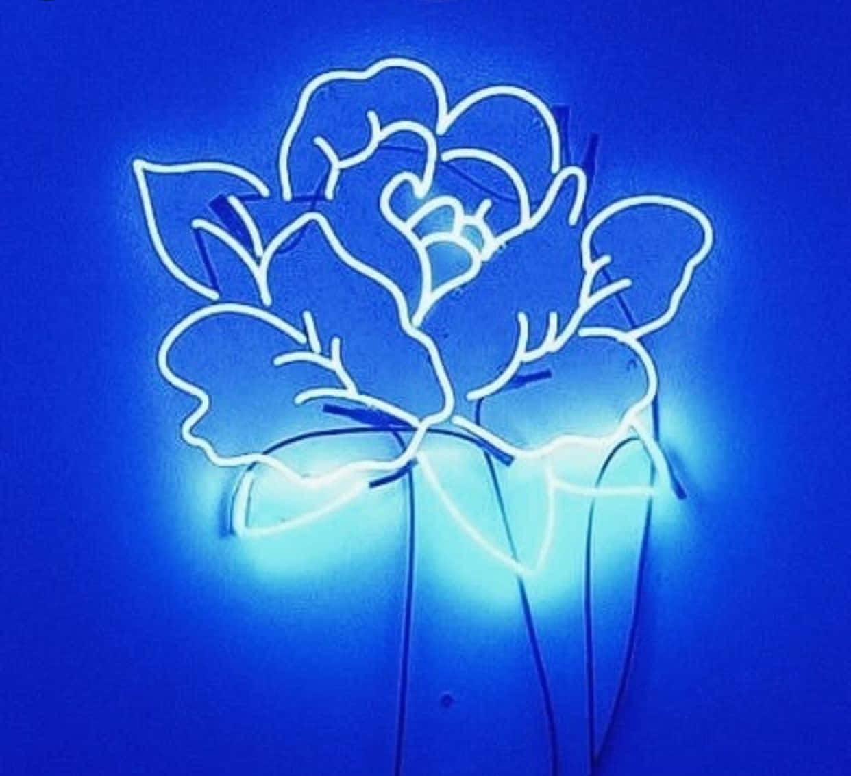 "Paggalugad sa surreal na kagandahan ng neon blue na estetika" Wallpaper