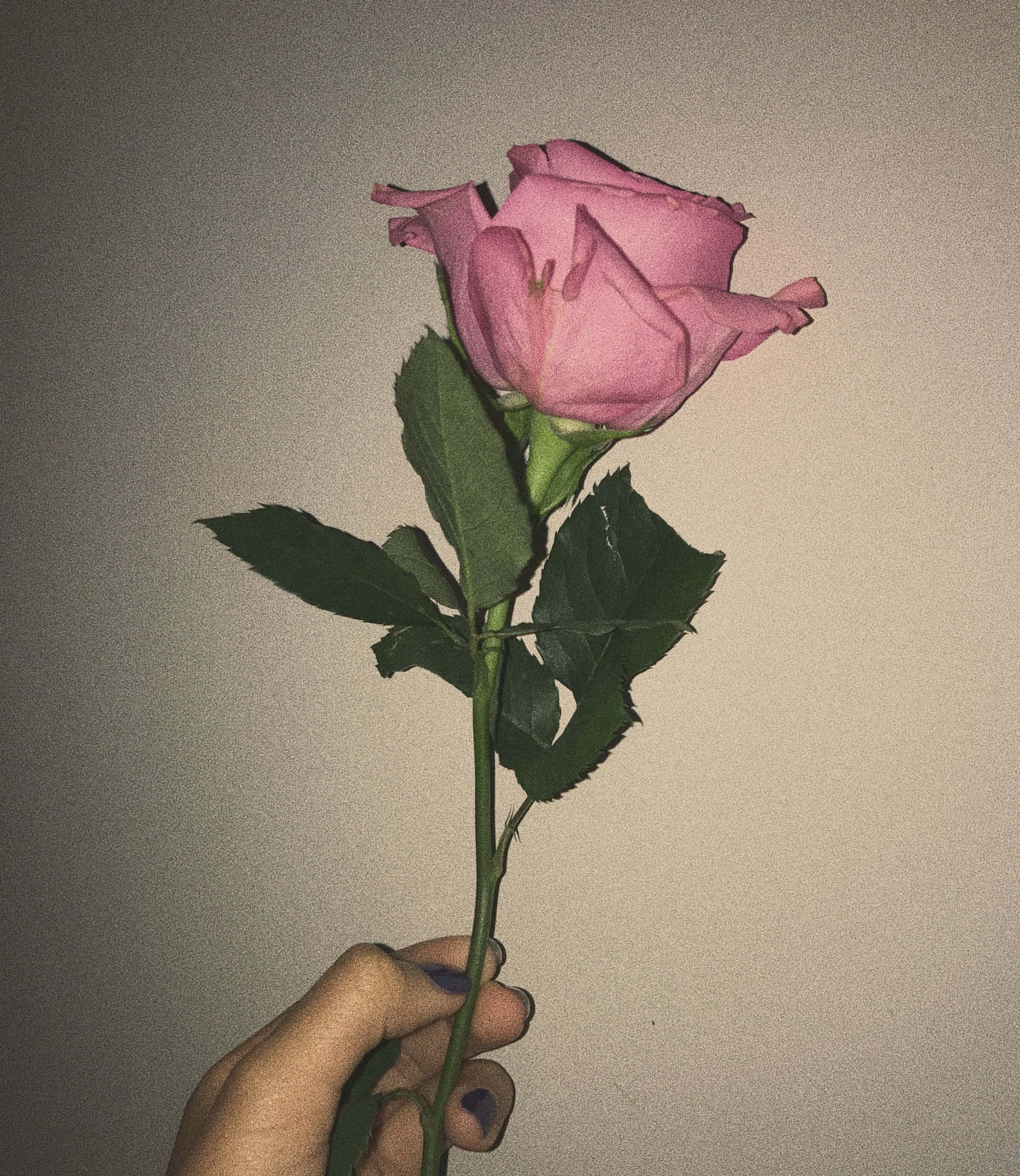 Pagkuha ng kagandahan at biyaya ng aesthetic pink Wallpaper