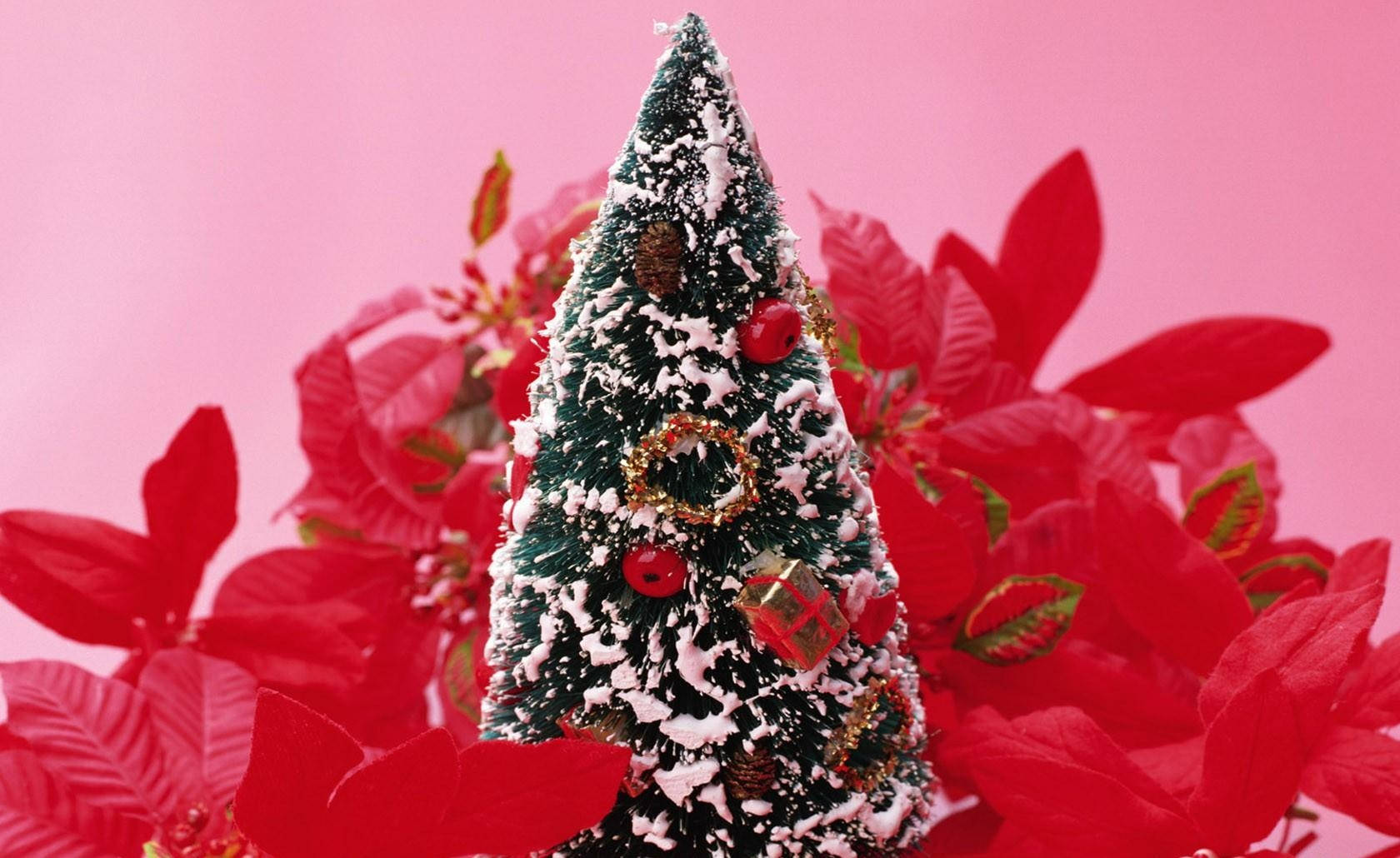Paglalagay ng palamuti sa puno para sa Pasko! Wallpaper