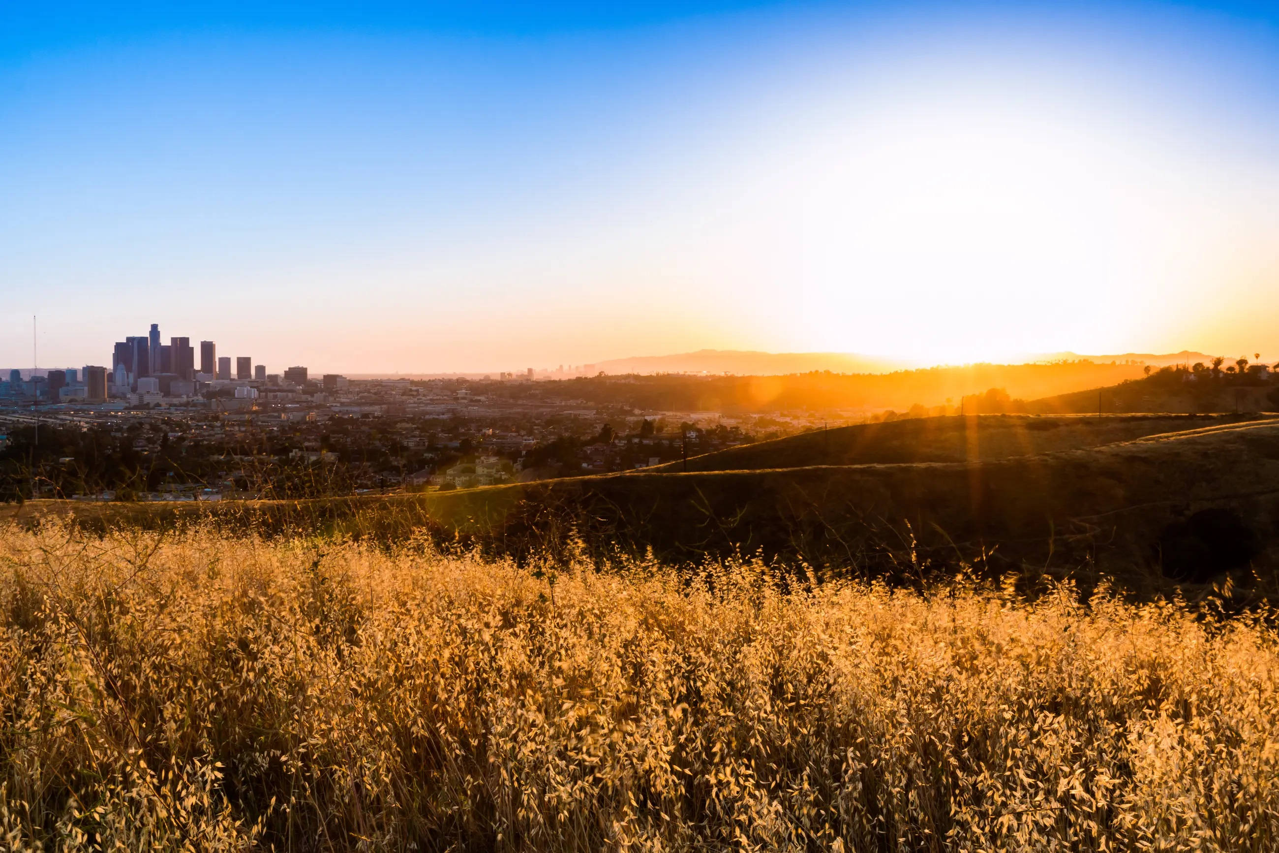 Paglubog ng Araw sa Ascot Hills Los Angeles Wallpaper