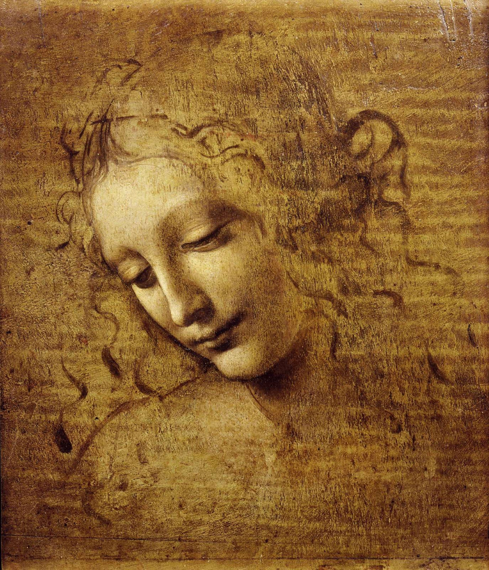 Pagpinta ni Leonardo Da Vinci ng Ulo ng Babae Wallpaper