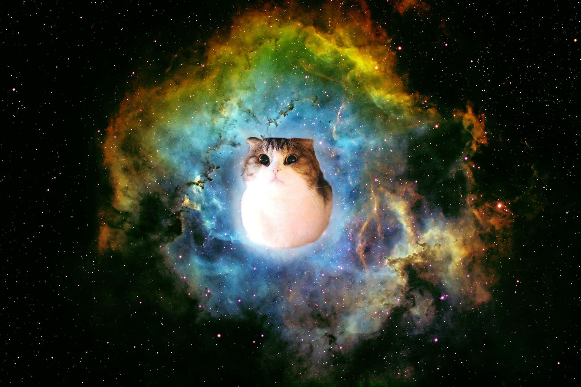 Pagtuklas sa Uniberso at Higit Pa Wallpaper