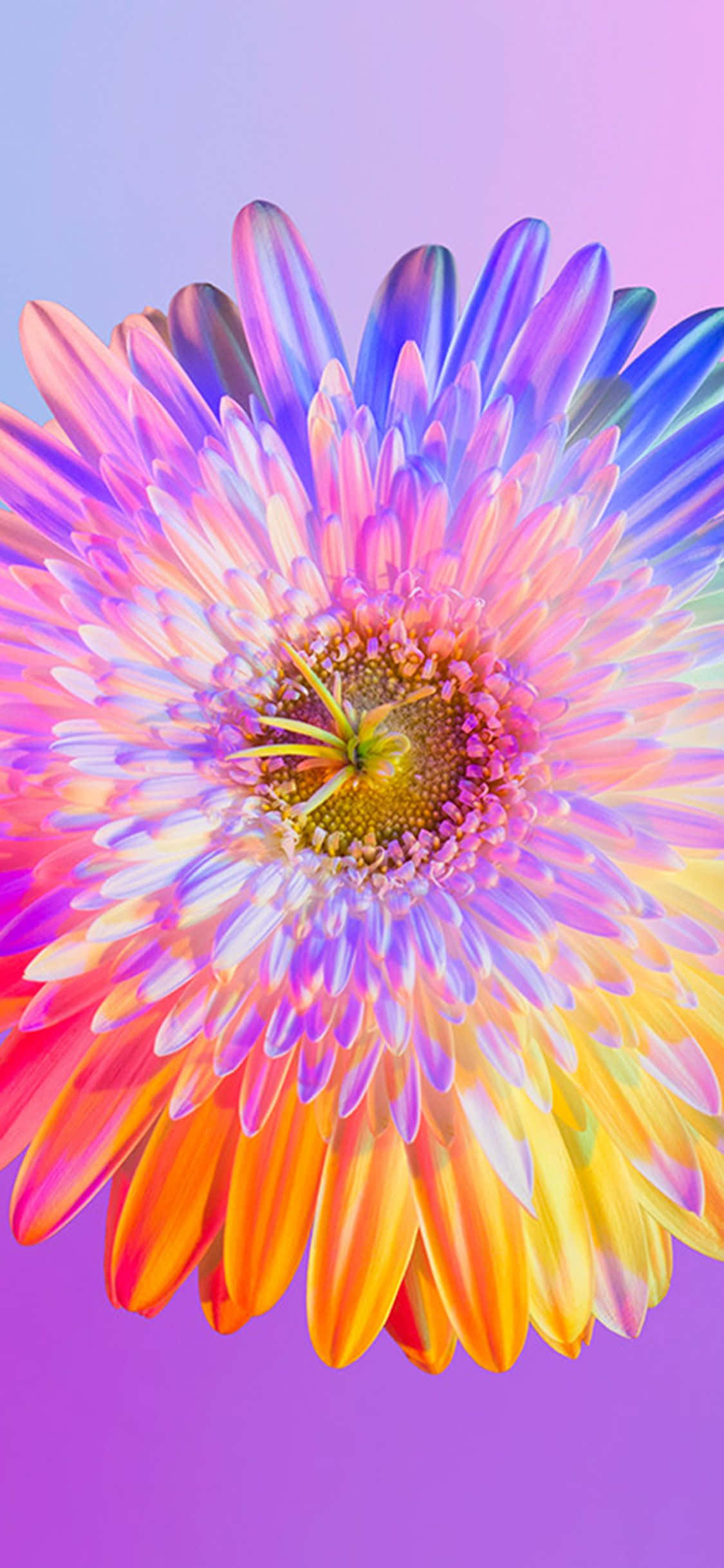 Paliwanin ang iyong araw gamit ang magandang Rainbow Flower iPhone wallpaper! Wallpaper