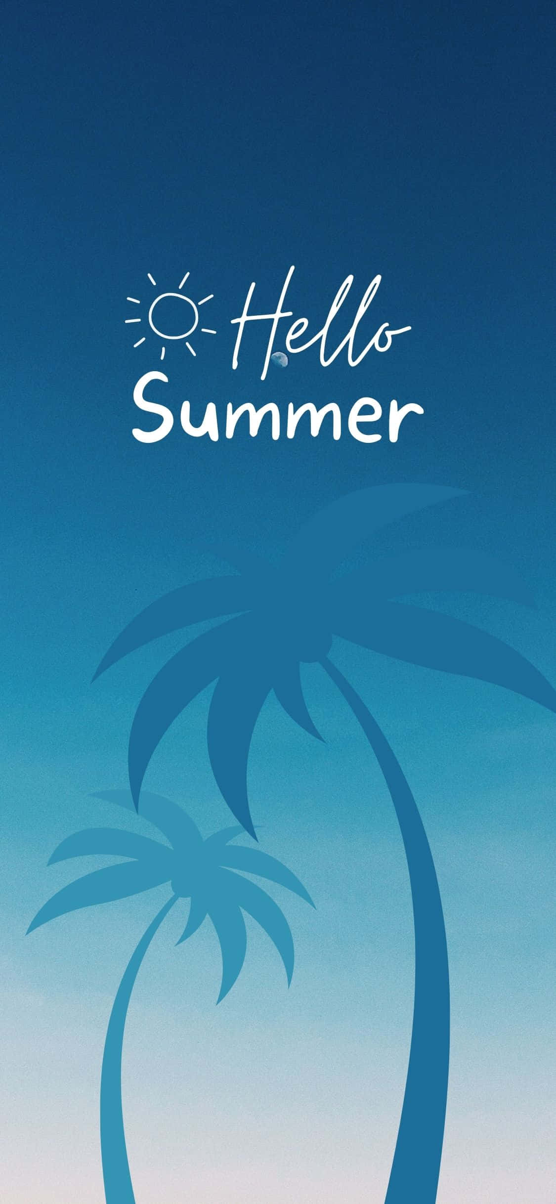 Palm Tree Silhouette iPhone X Summer Background Wallpaper