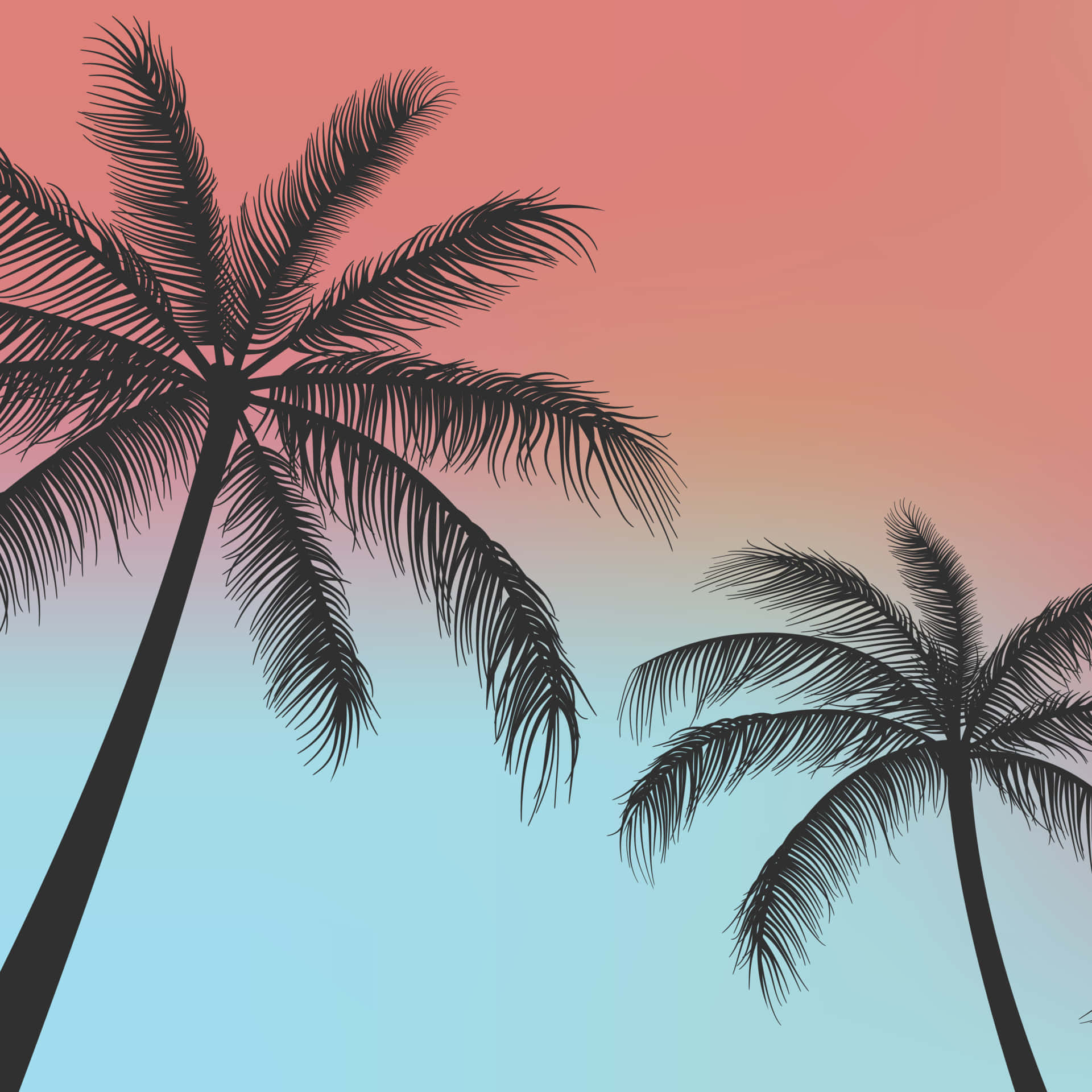 Background ng mga Puno ng Palma Wallpaper