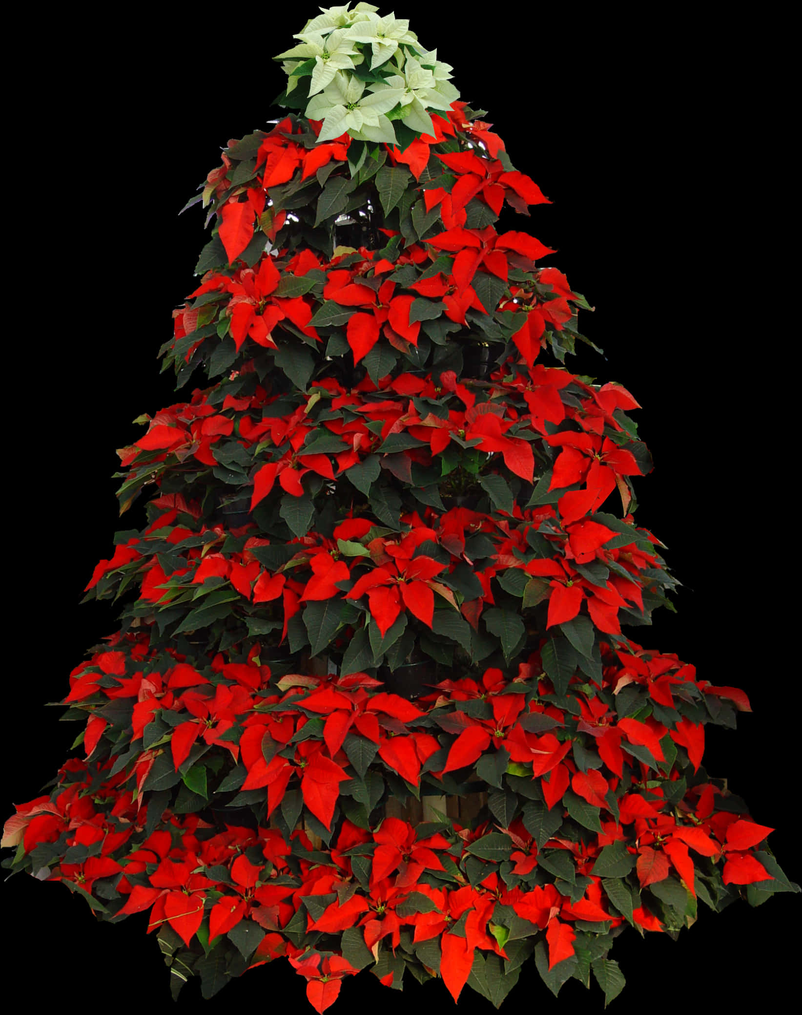 Pamaskong Dekorasyong Puno na may Poinsettia Wallpaper