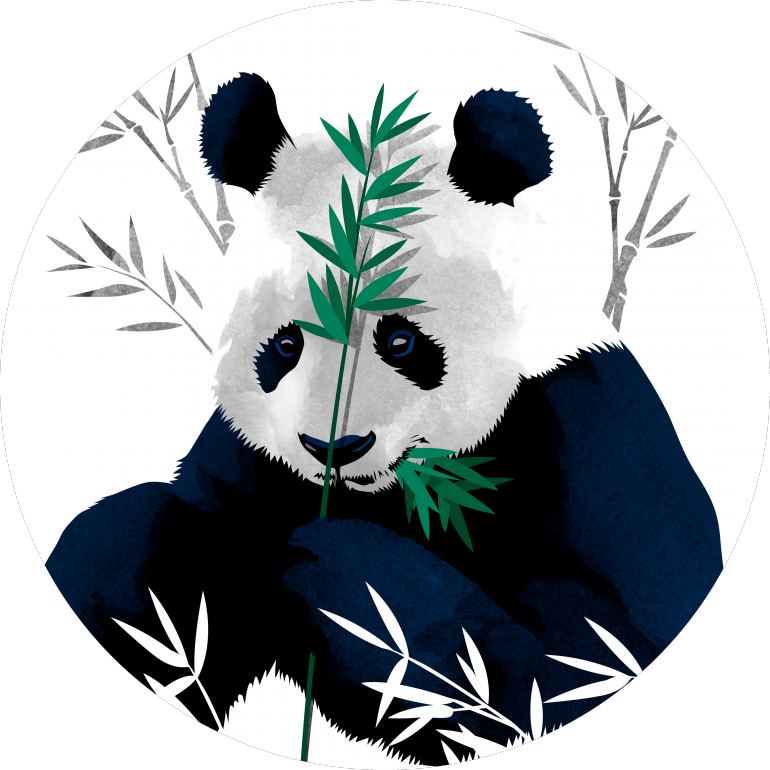 Panda_ Kumakain_ ng_ Kawayan_ Vector_ Art Wallpaper