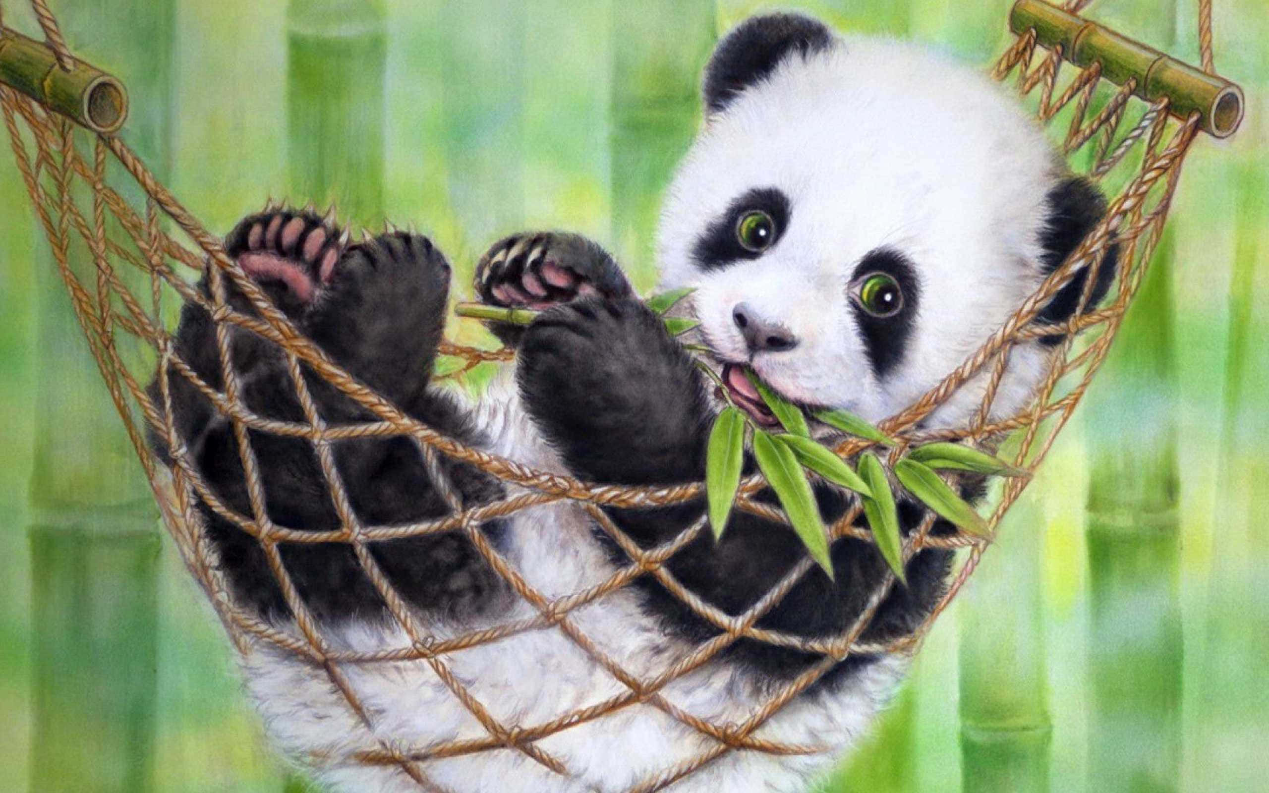 Panda Laptop sa Isang Hammock Wallpaper