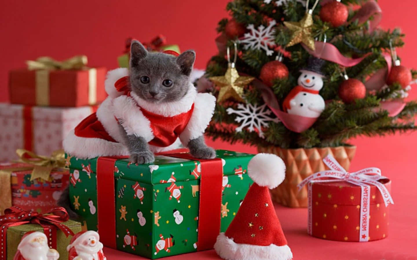 Papalapit na ang Pasko at Handa na ang Pusang Ito Wallpaper