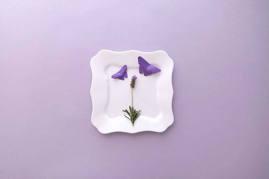 Paruparong Lilang Aesthetic Wallpaper