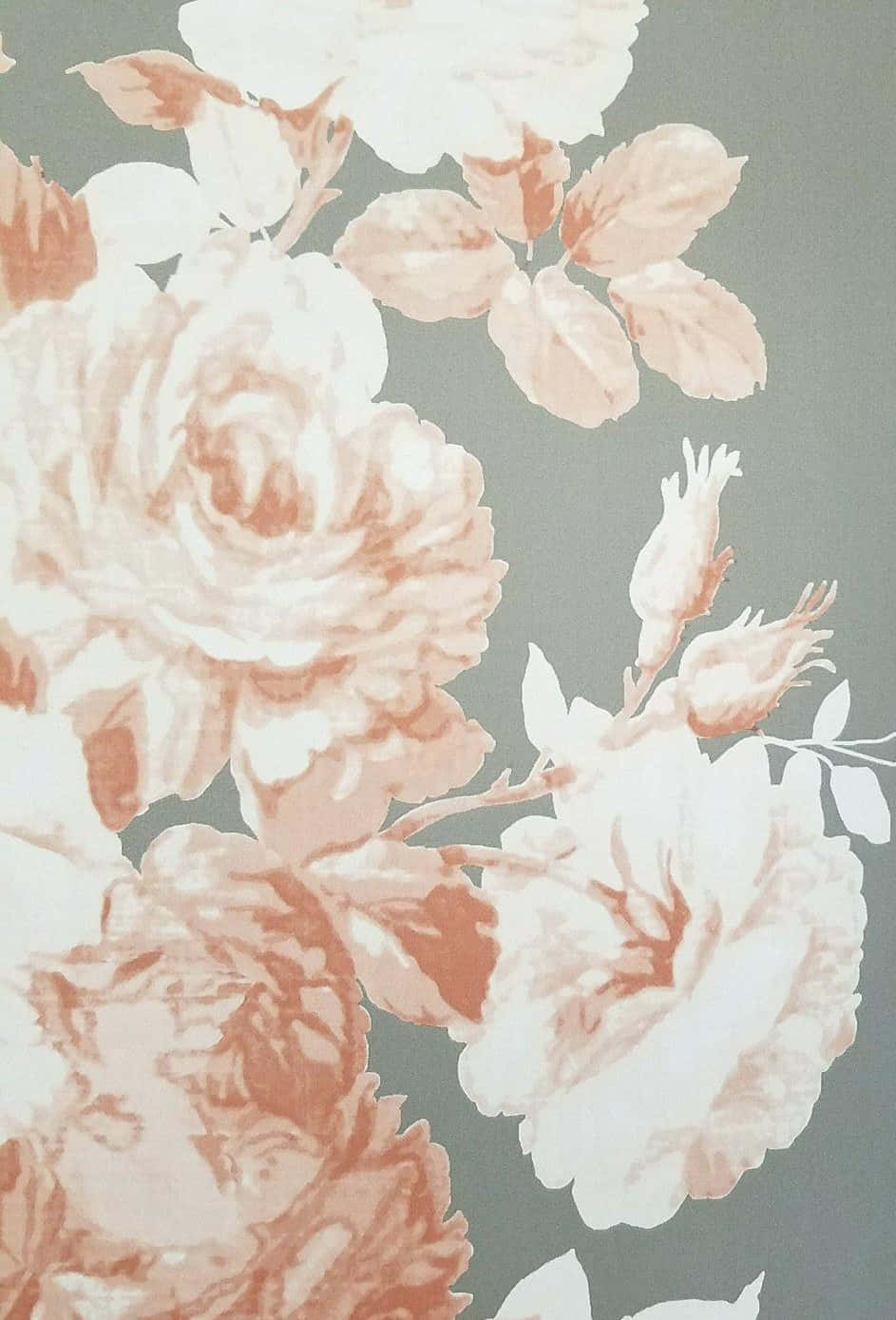 Pasiglahin ang Iyong Araw gamit ang Magandang Flower iPhone Wallpaper