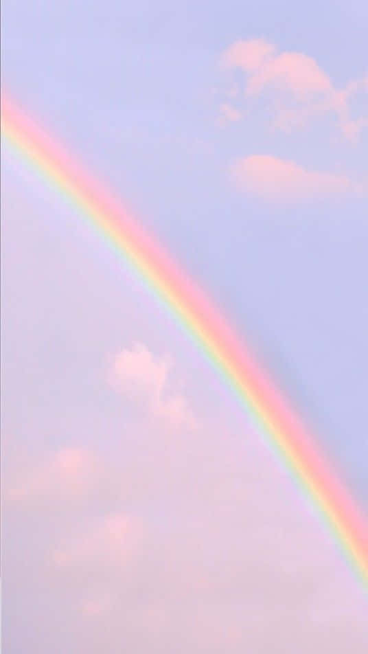 Pasiglahin ang iyong araw na may pagsabog ng kulay! Wallpaper