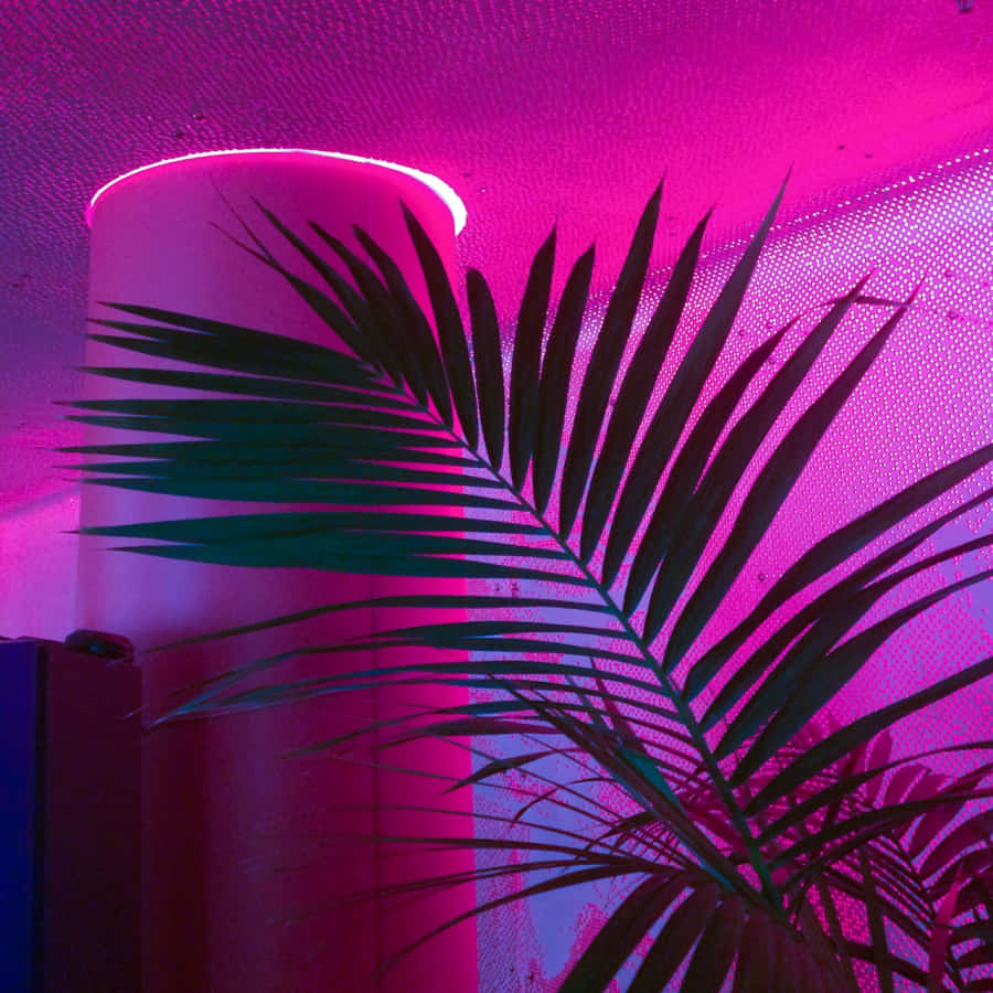 Pasiglahin ang Iyong Buhay gamit ang Makinang na Neon Pink na Aesthetic Wallpaper