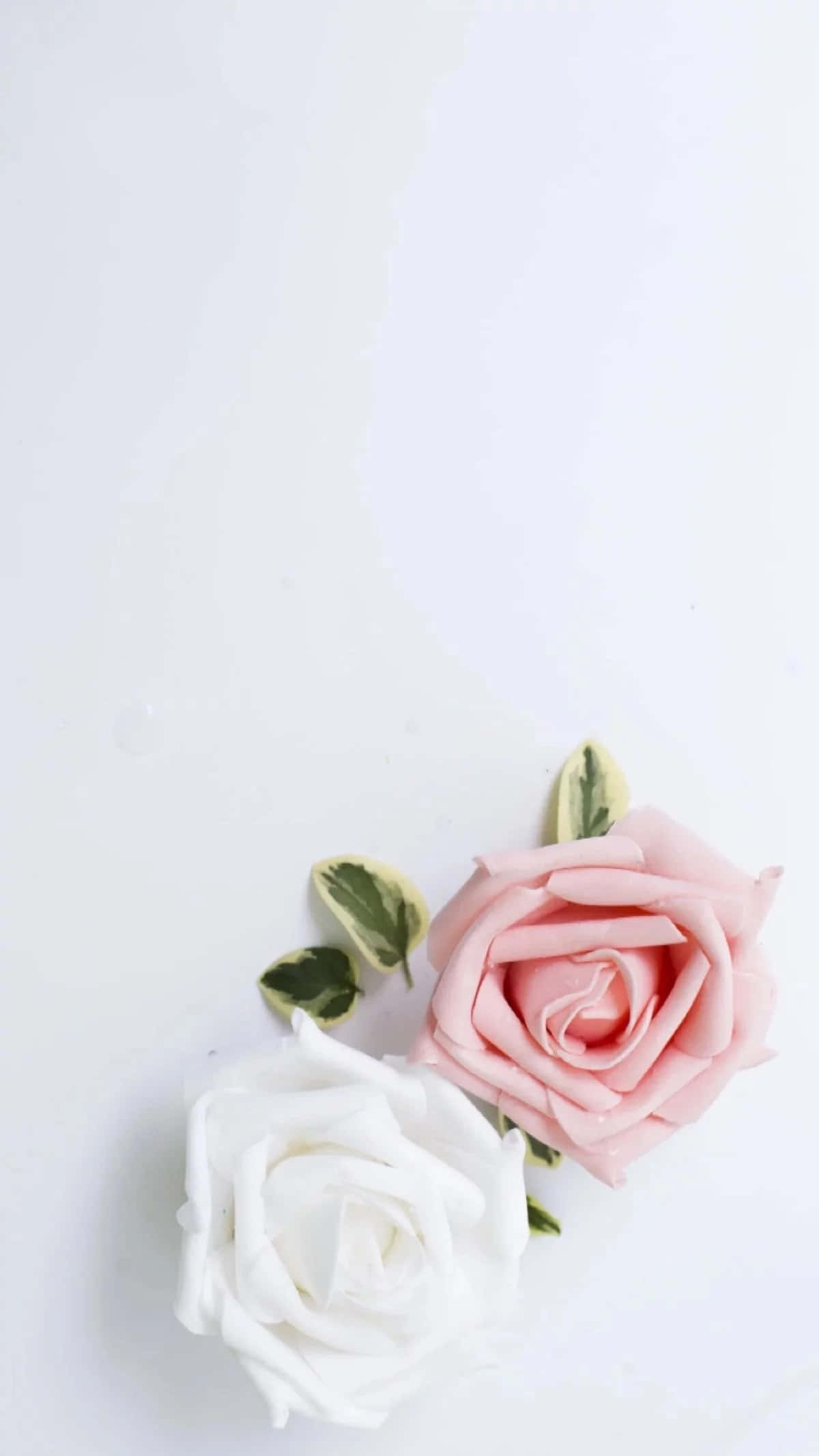 Pasiglahin ang Iyong Isip at Estilo gamit ang Aesthetic White Wallpaper