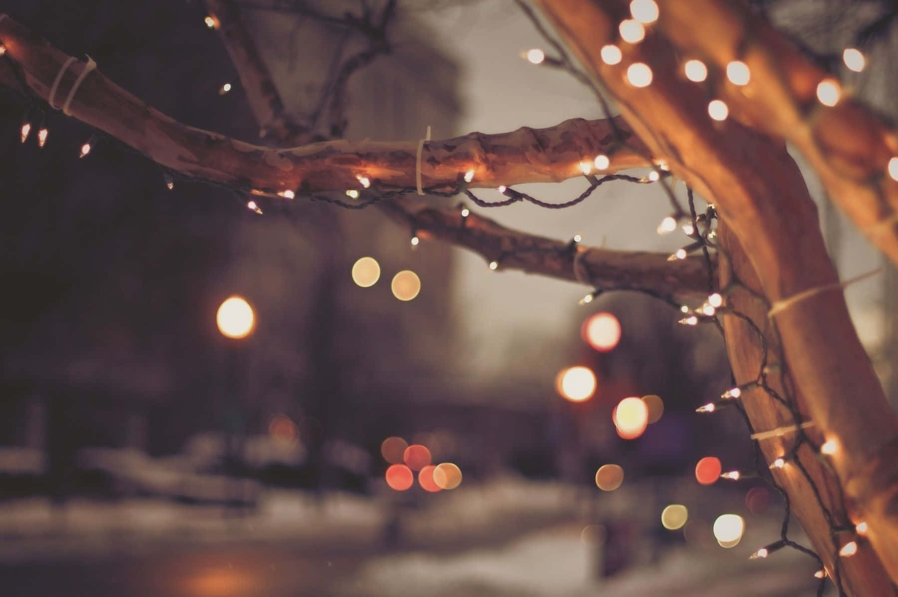 Pasiglahin ang Iyong Tahanan gamit ang mga Ilaw na Pasko Wallpaper