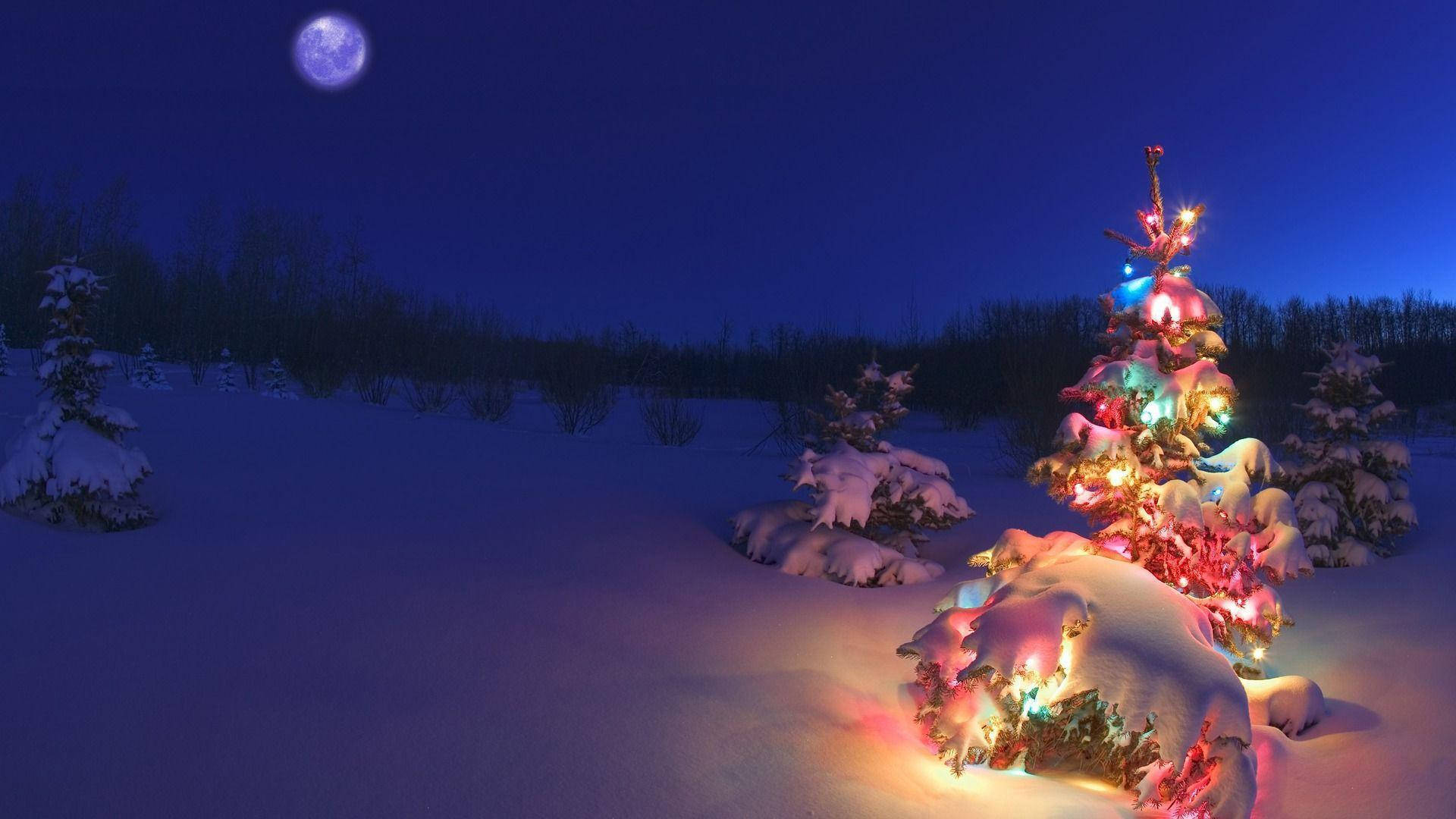 Pasiglahin ang Kapaskuhan gamit ang Christmas Tree Wallpaper