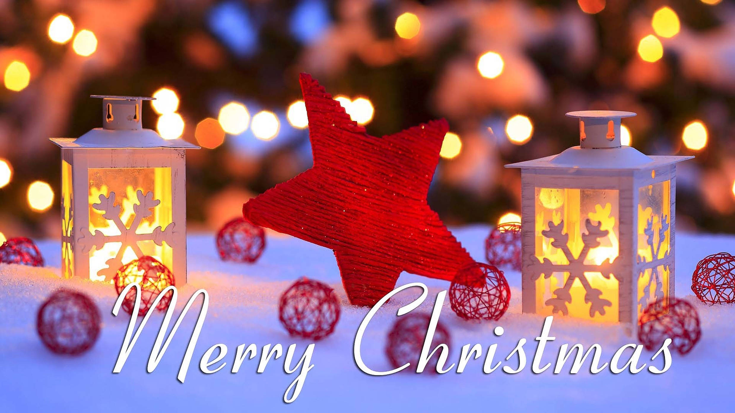 Paskong Pula na Bituing Pampasko Wallpaper