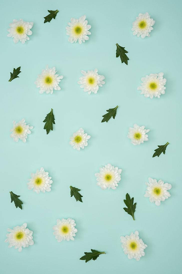 Pastel na Asul na Bulaklak para sa iPhone Wallpaper