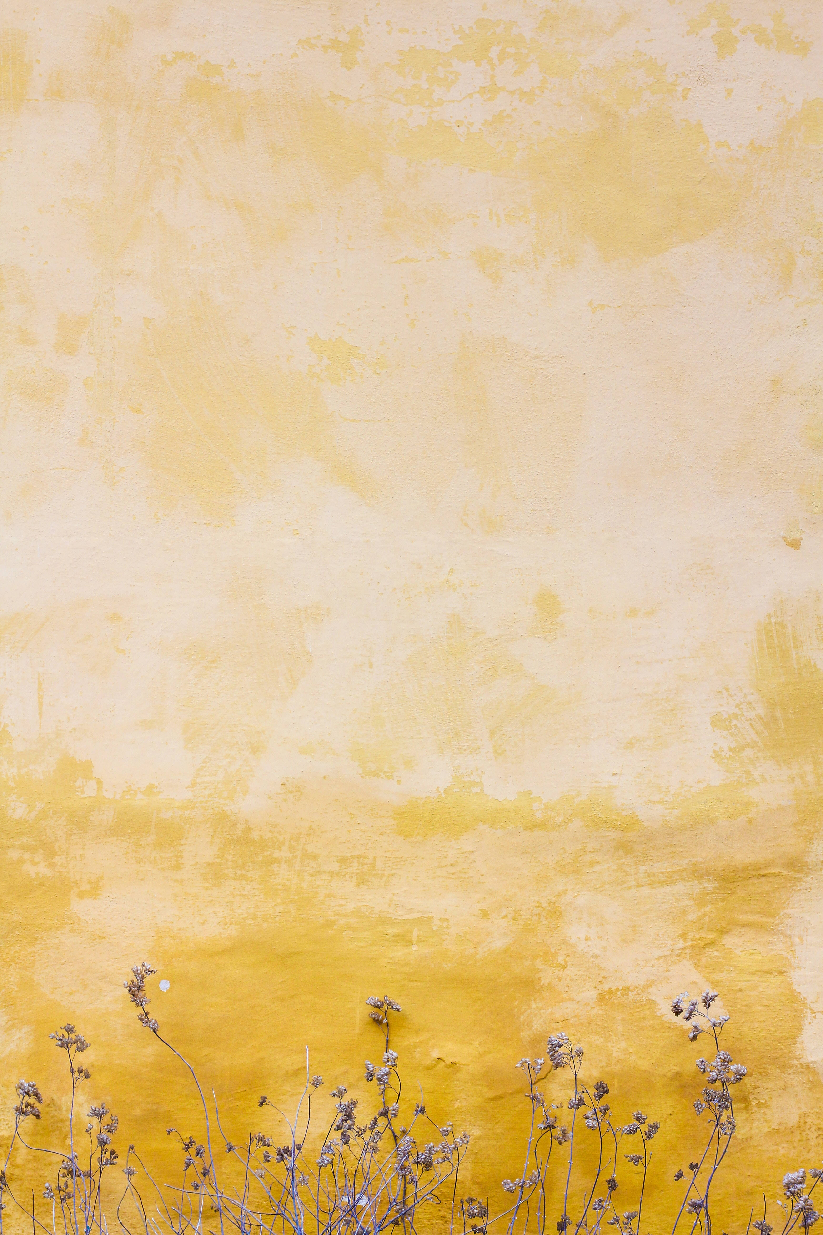 Pastel na Mustard na Bulaklak para sa iPhone Wallpaper
