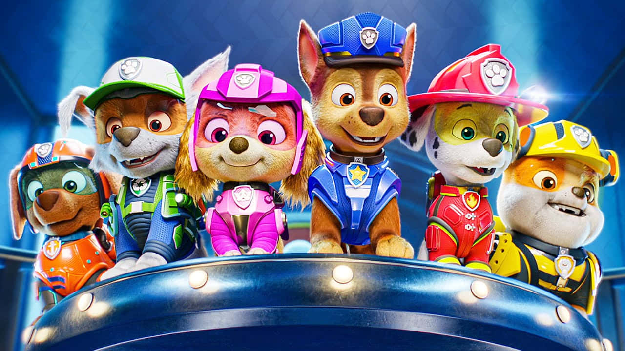 Paw Patrol The Movie Pinagmamasdan ng mga Tuta Wallpaper