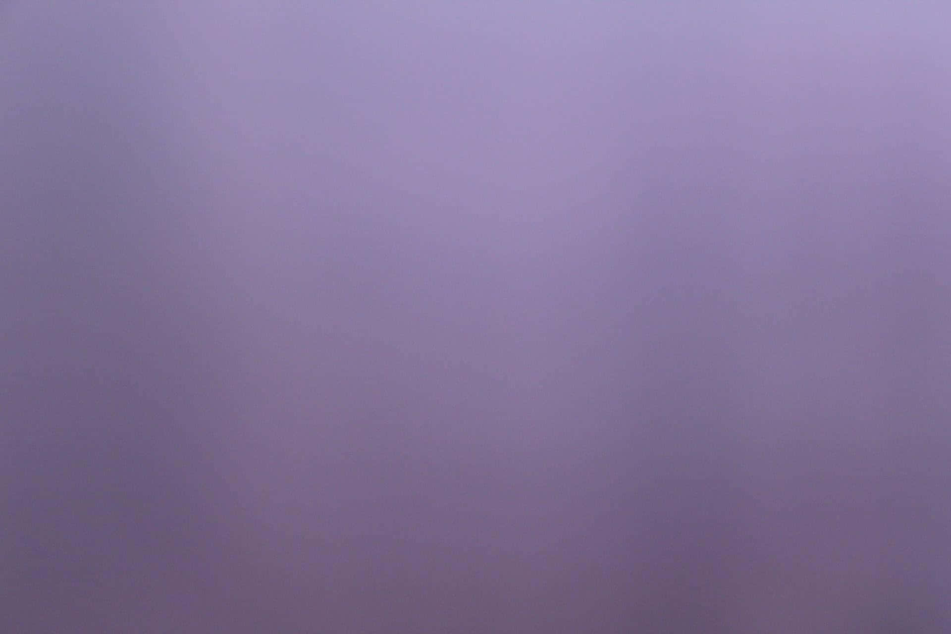 Payak na Lila na Likuran Wallpaper