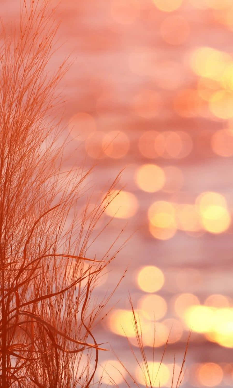 Peach Colour na mga Larawan Aesthetic Sunset Wallpaper
