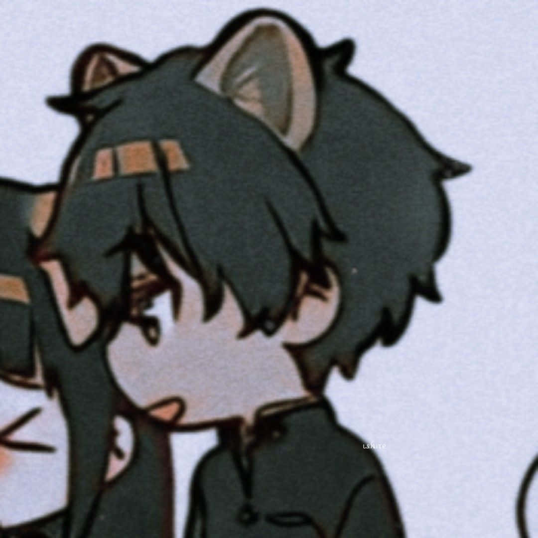 Pfp Magkatugmang Magkapareha na Anime na Lalaking Pusa Wallpaper