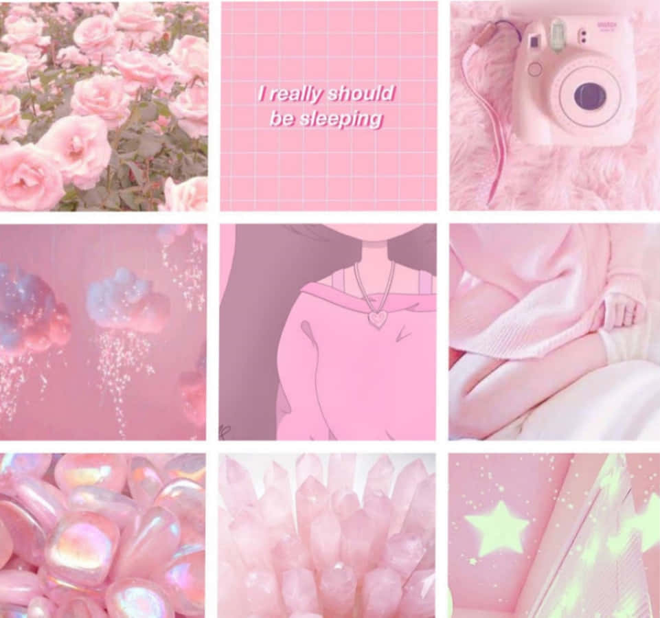 Pinagsamang mga kulay ng pink na lumilikha ng isang Aesthetic na ganda. Wallpaper