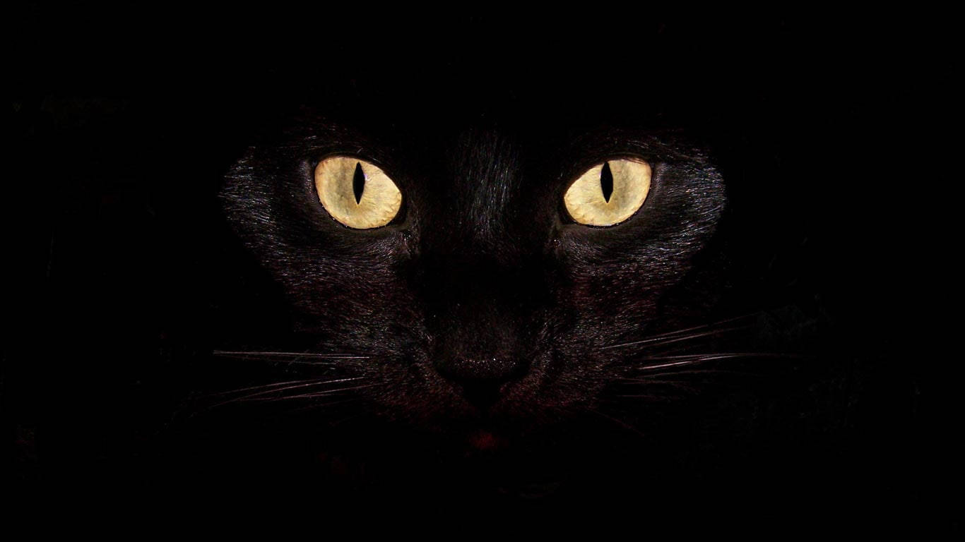 Pinaka-cool na Desktop na Pusa na Dilaw ang Mata Wallpaper