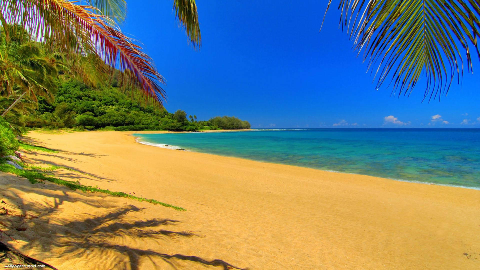 Pinakamagandang Tag-init na Pagtakas sa Isang Liblib na Isla Wallpaper