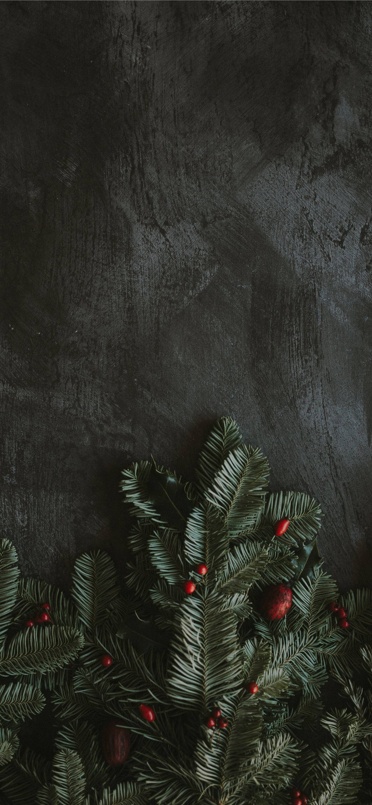 Pinakamagandang Madilim na Dahon para sa iPhone Wallpaper