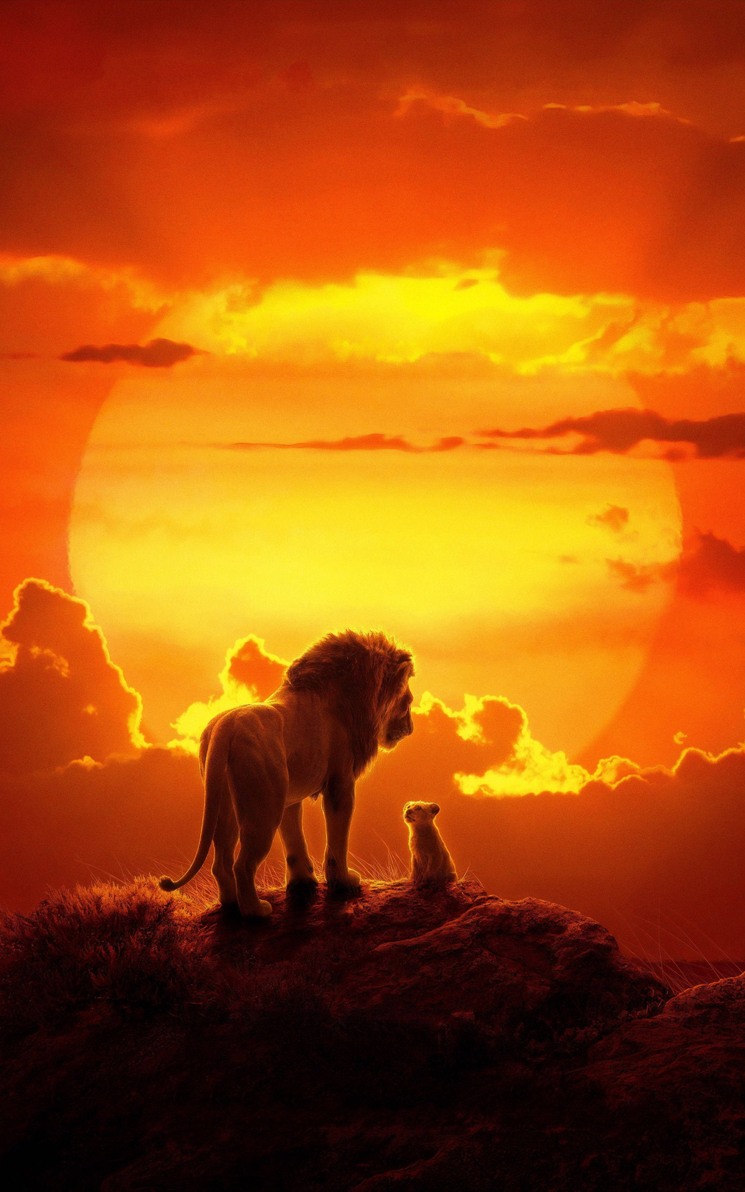Pinapanood ni Simba ang African Sunset Wallpaper