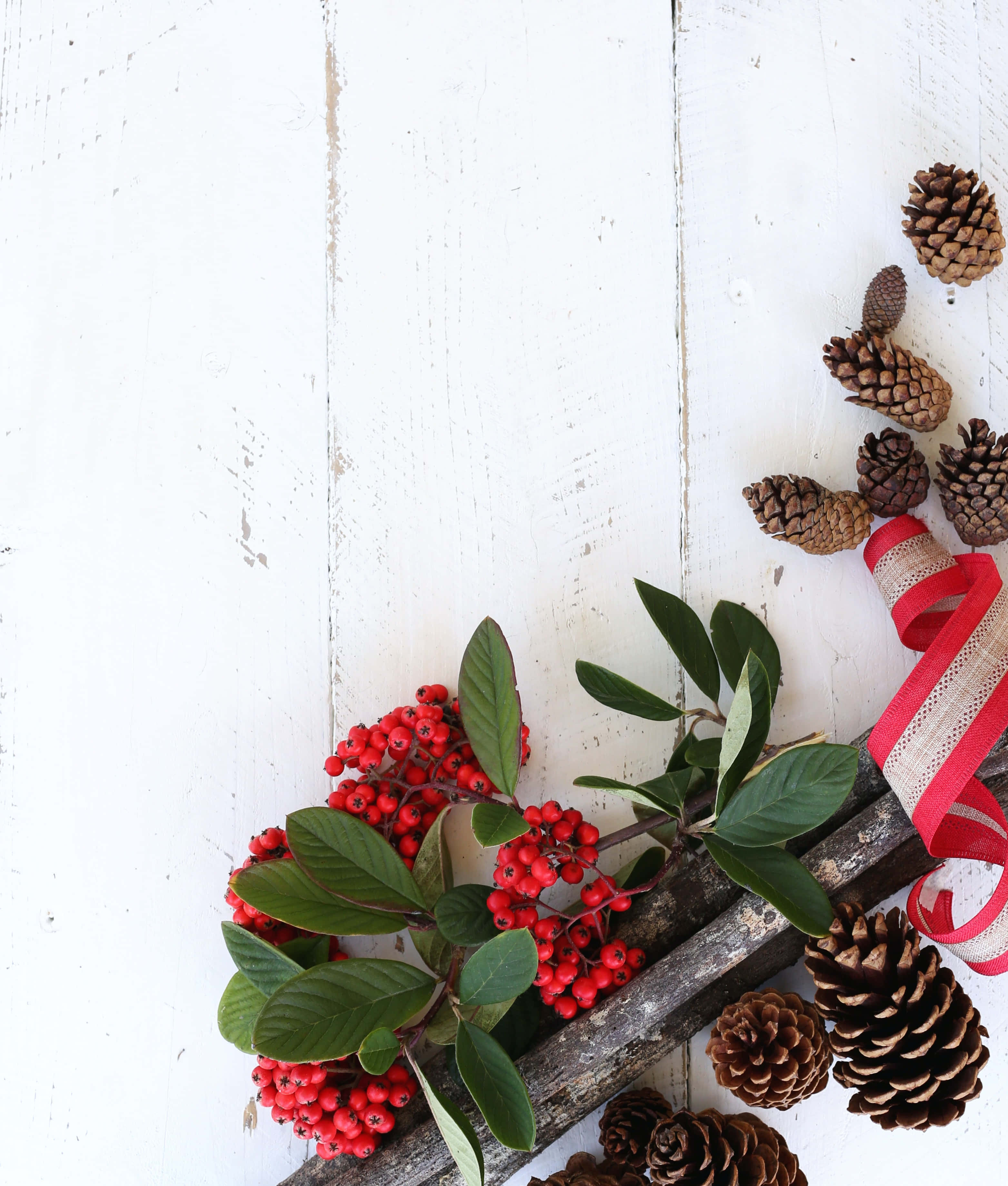 Pine Cones At Berries Christmas Photo Background Wallpaper